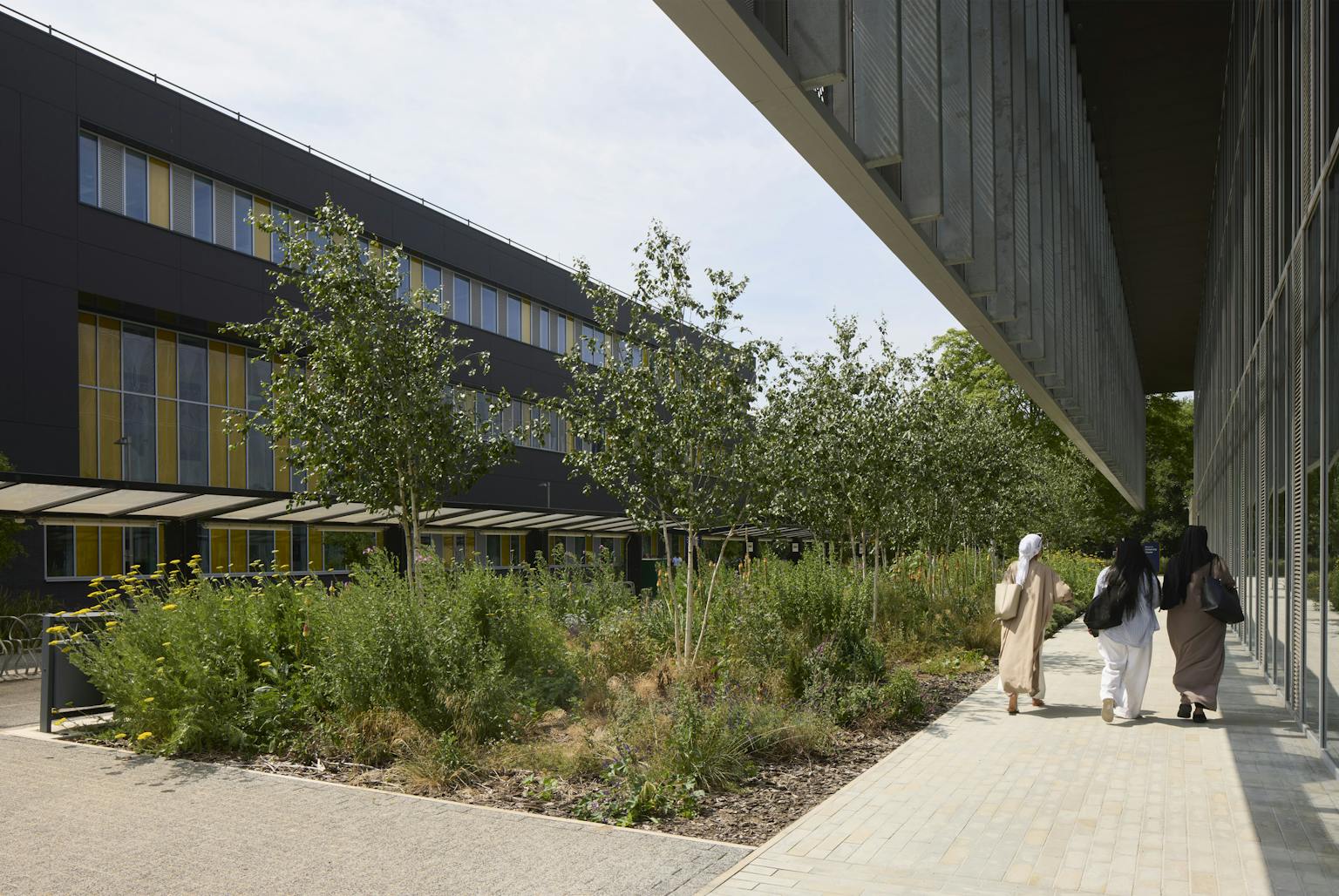 Three people are walking along a path next to a garden and a modern university building.