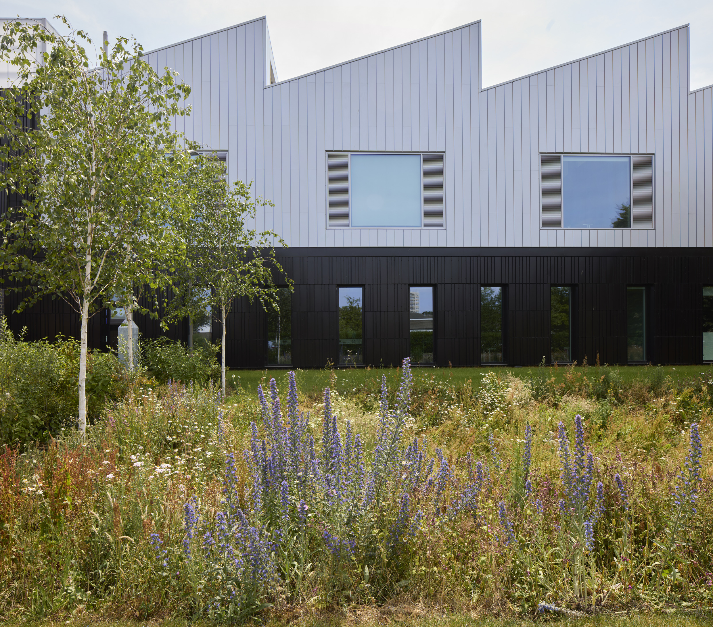 A modern building with a zig-zag roofline overlooks a field of wildflowers and bushes.