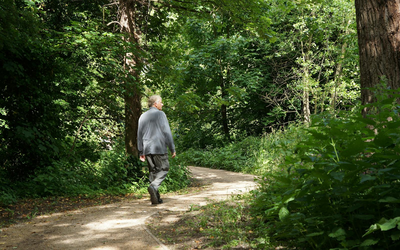 A person walking through sun-dappled woodland