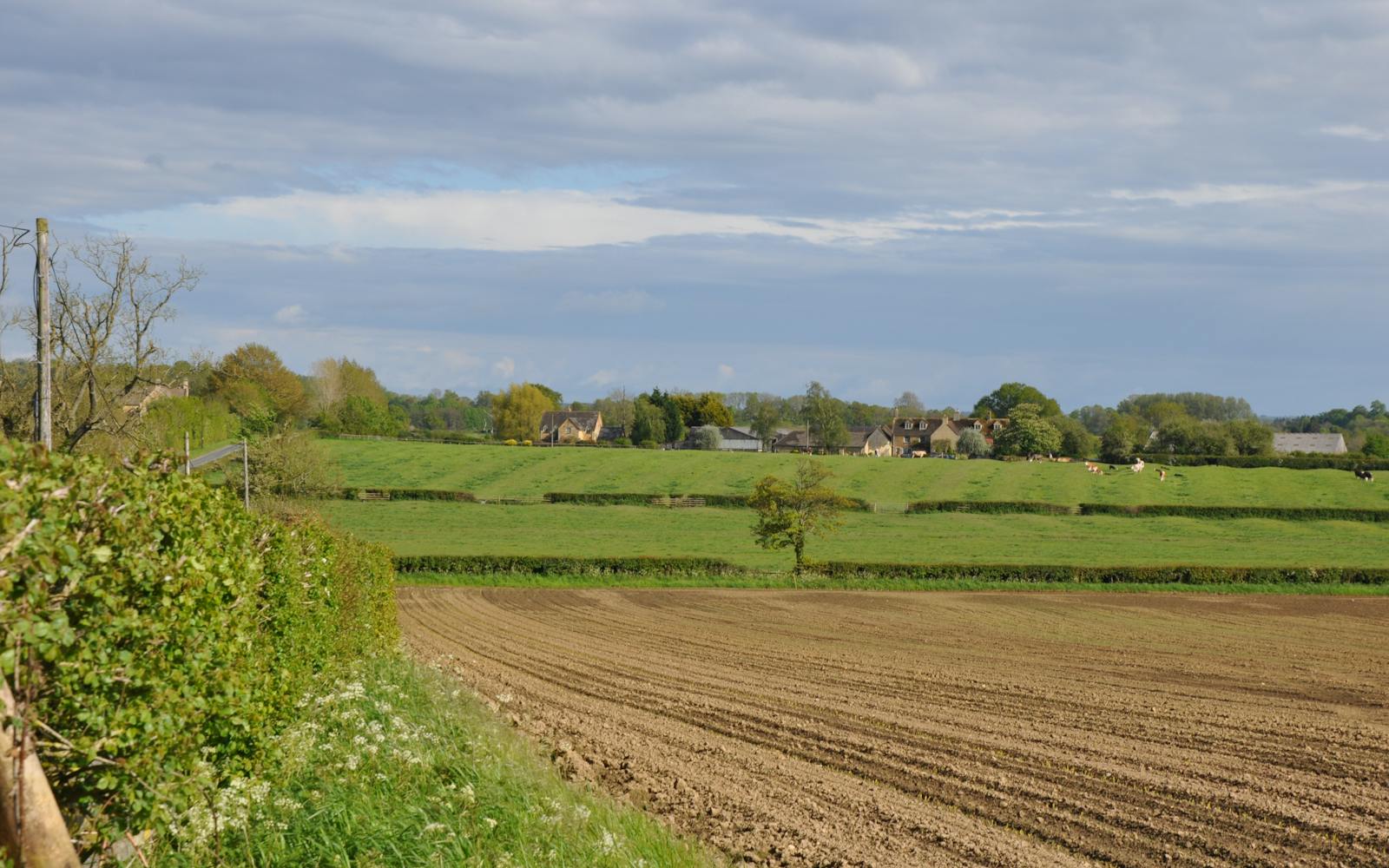 A ploughed field