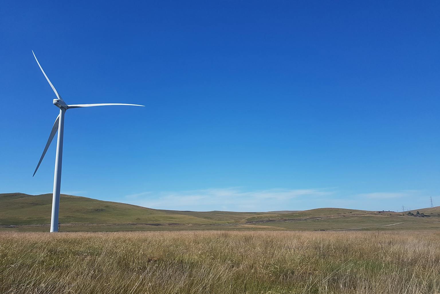 Wind farm in a field under a clear blue sky.