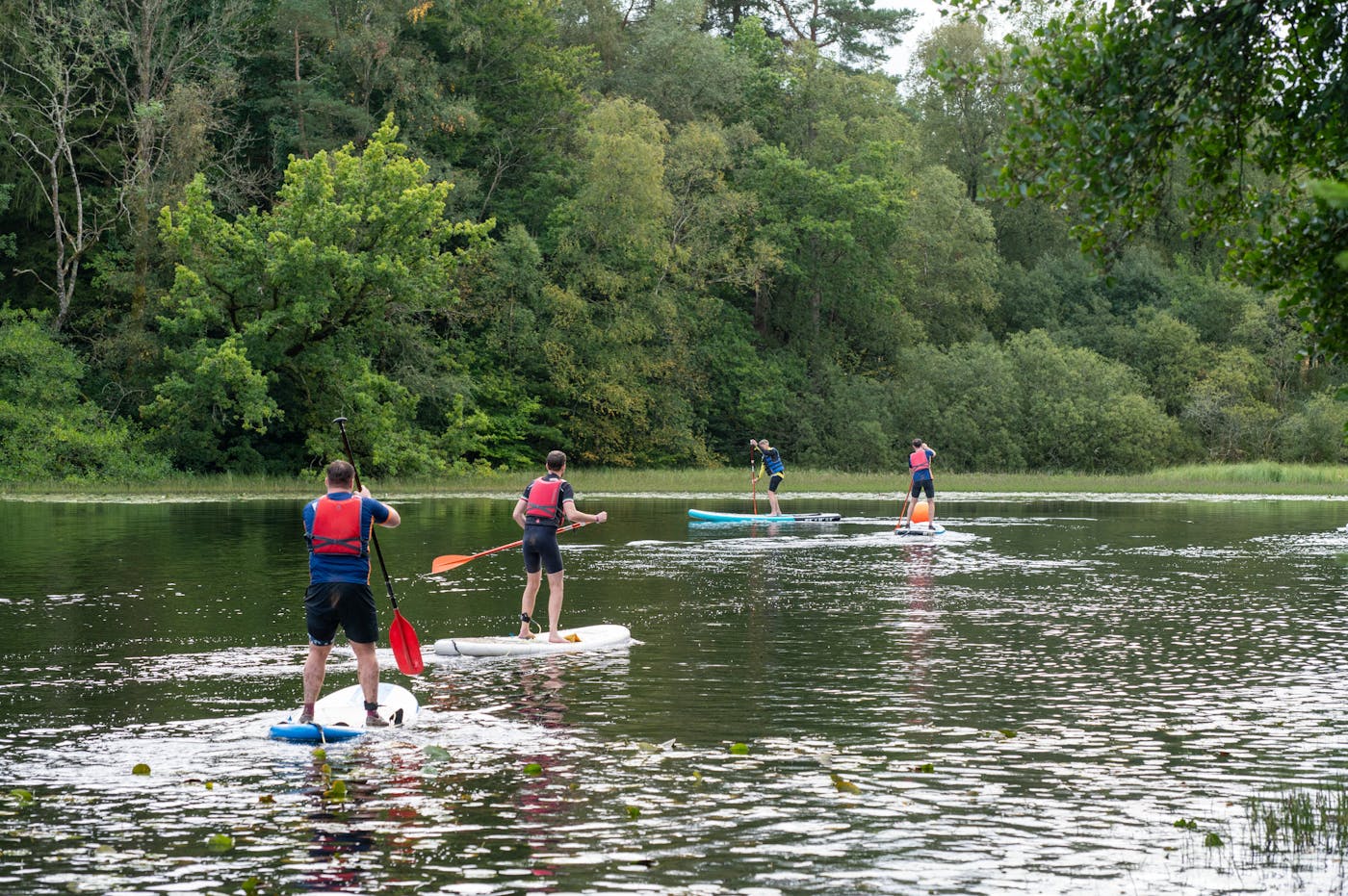 Four people paddle boarding.