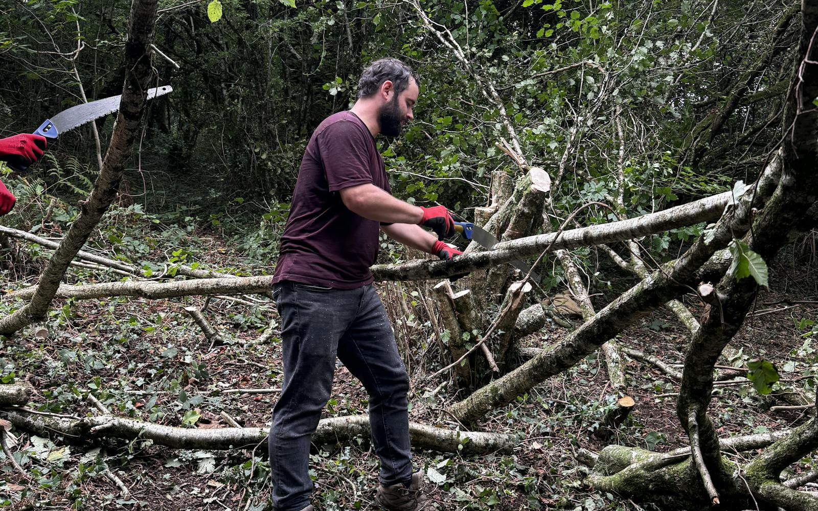 A person wearing red gloves uses a saw to cut a fallen tree branch in a forest.