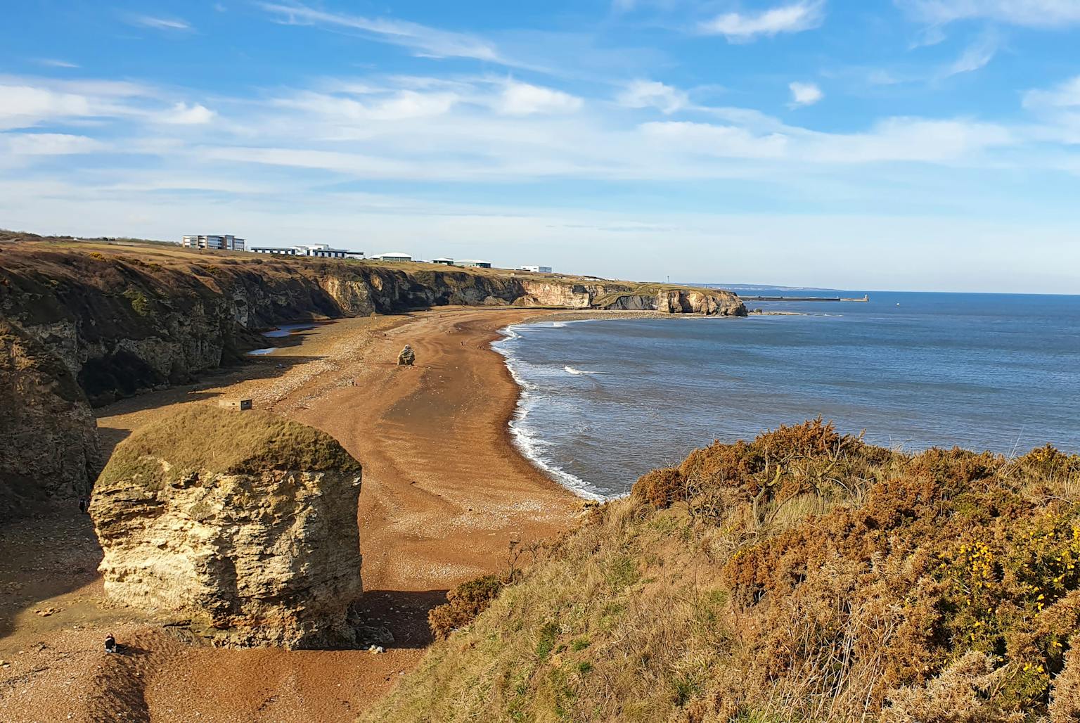 A scenic view of a sandy beach and cliffs along a coast under a blue sky.