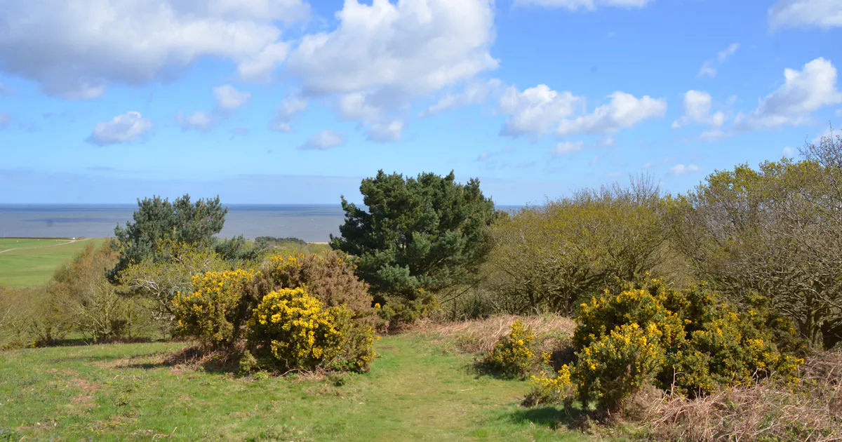 Landscape Rdt North Norfolk Landscape Recovery Monitoring and Evaluation Plan | LUC | LUC