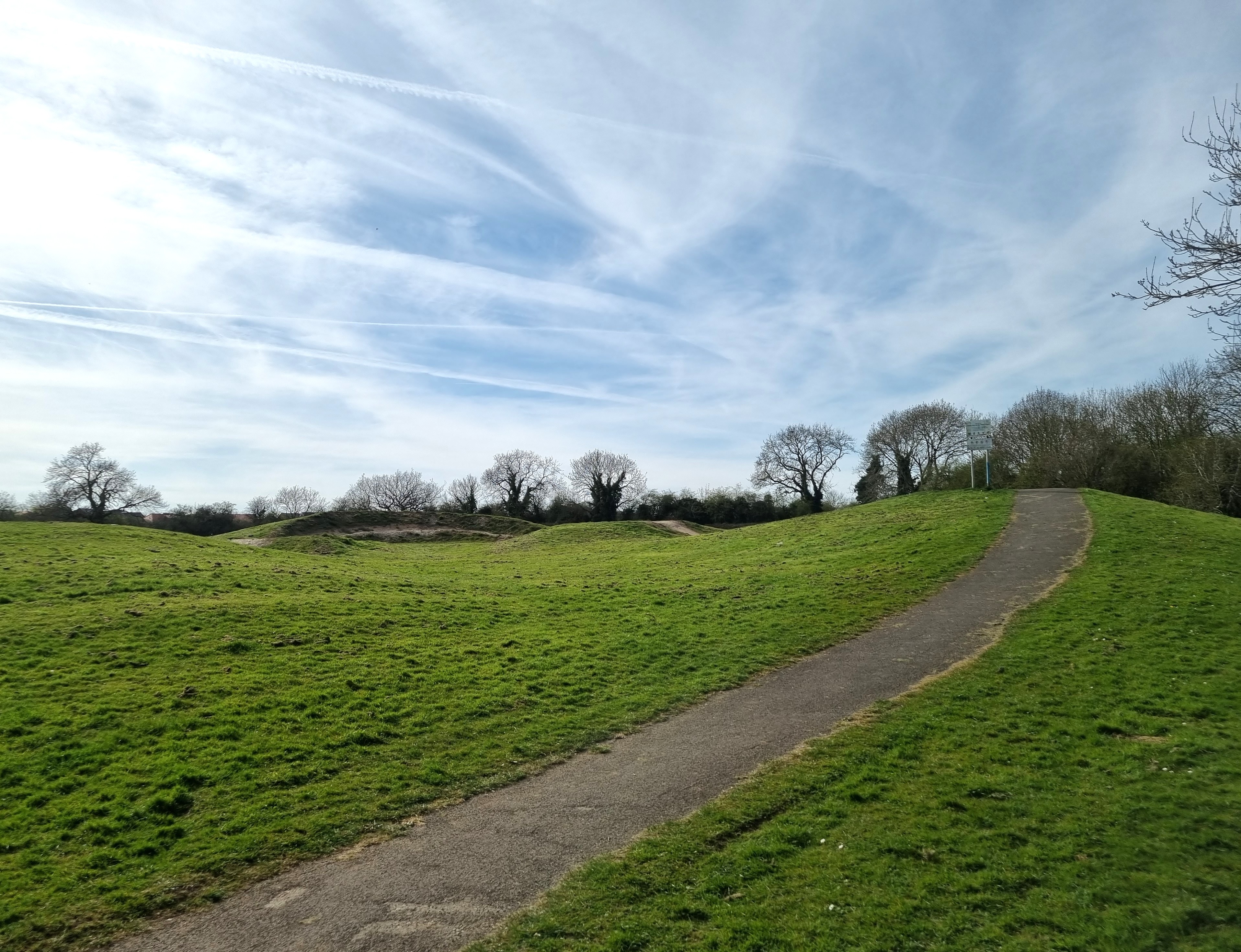 A field with a path through it and trees on the horizon