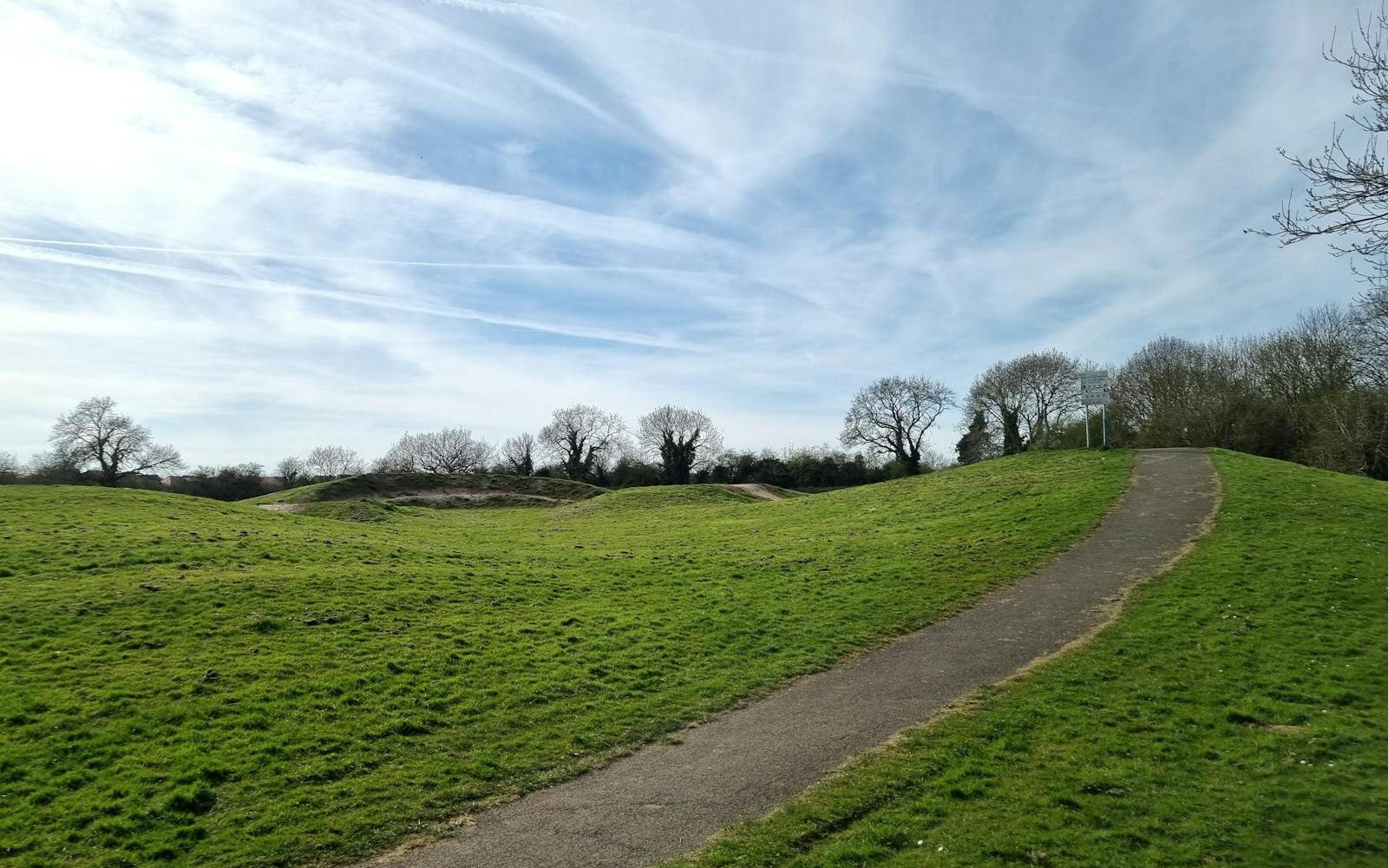 A field with a path through it and trees on the horizon