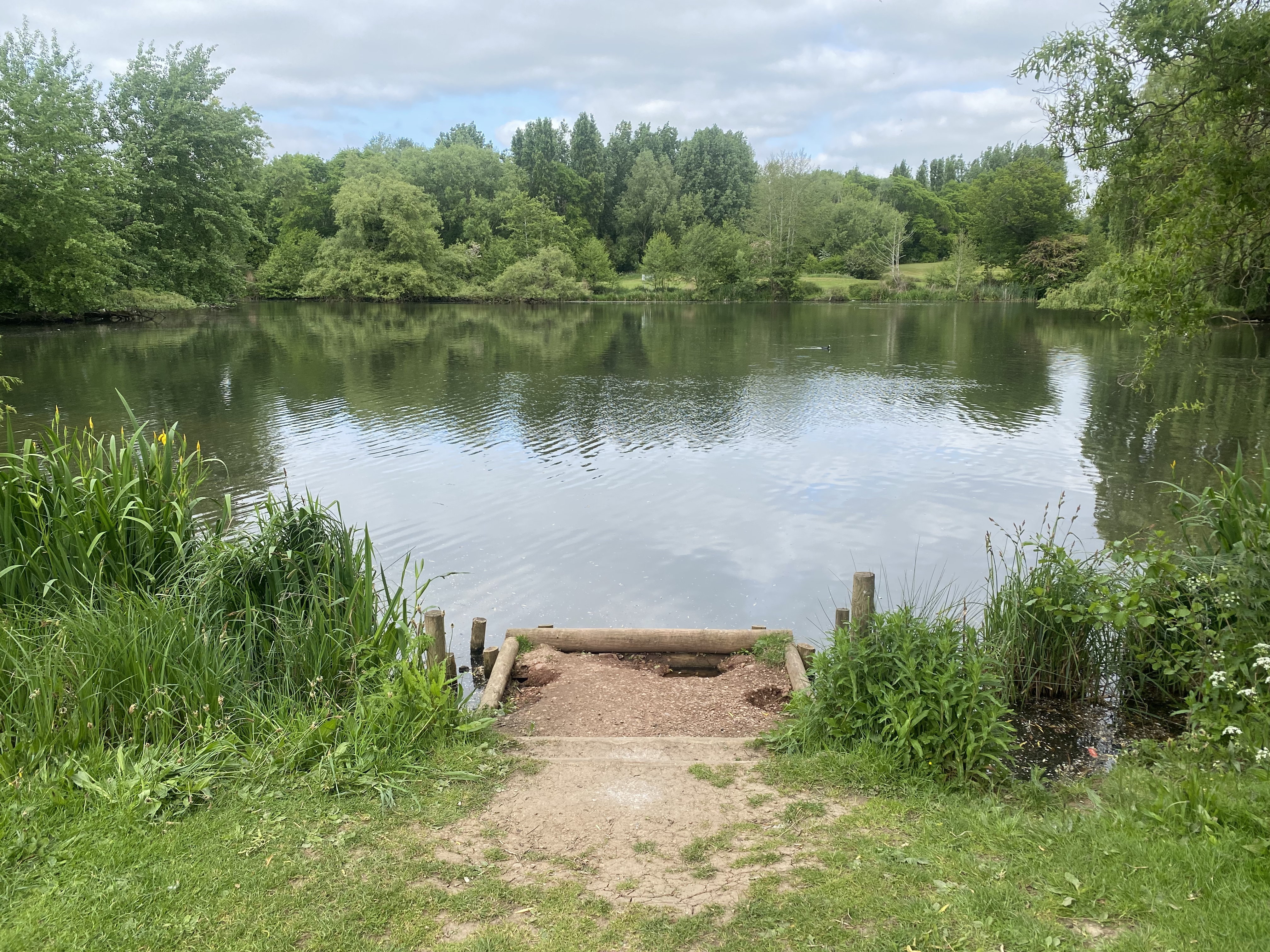 A lake surrounded by trees