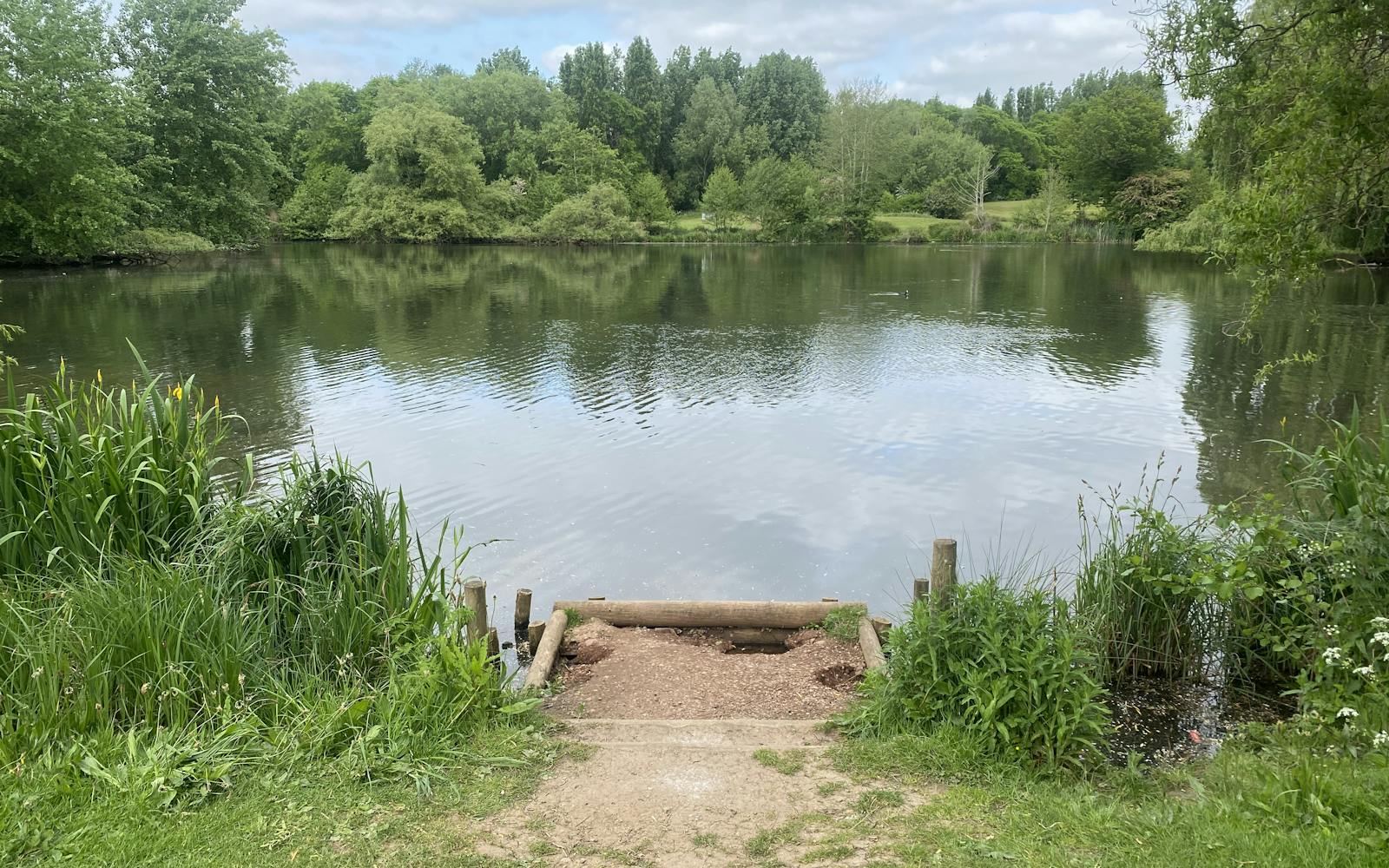 A lake surrounded by trees