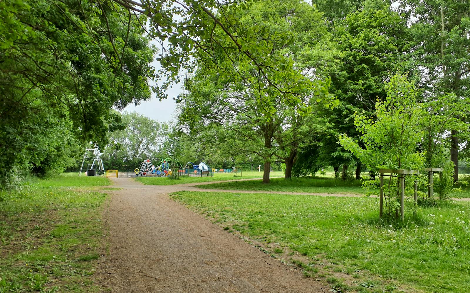 A park with trees