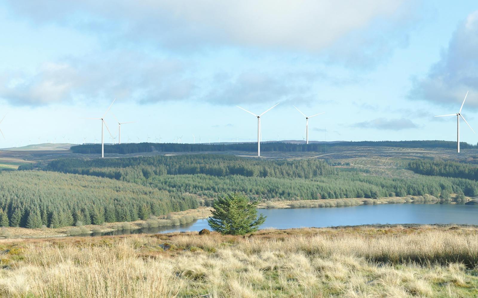 A calm lake, with wind turbines in the background under a cloudy blue sky.