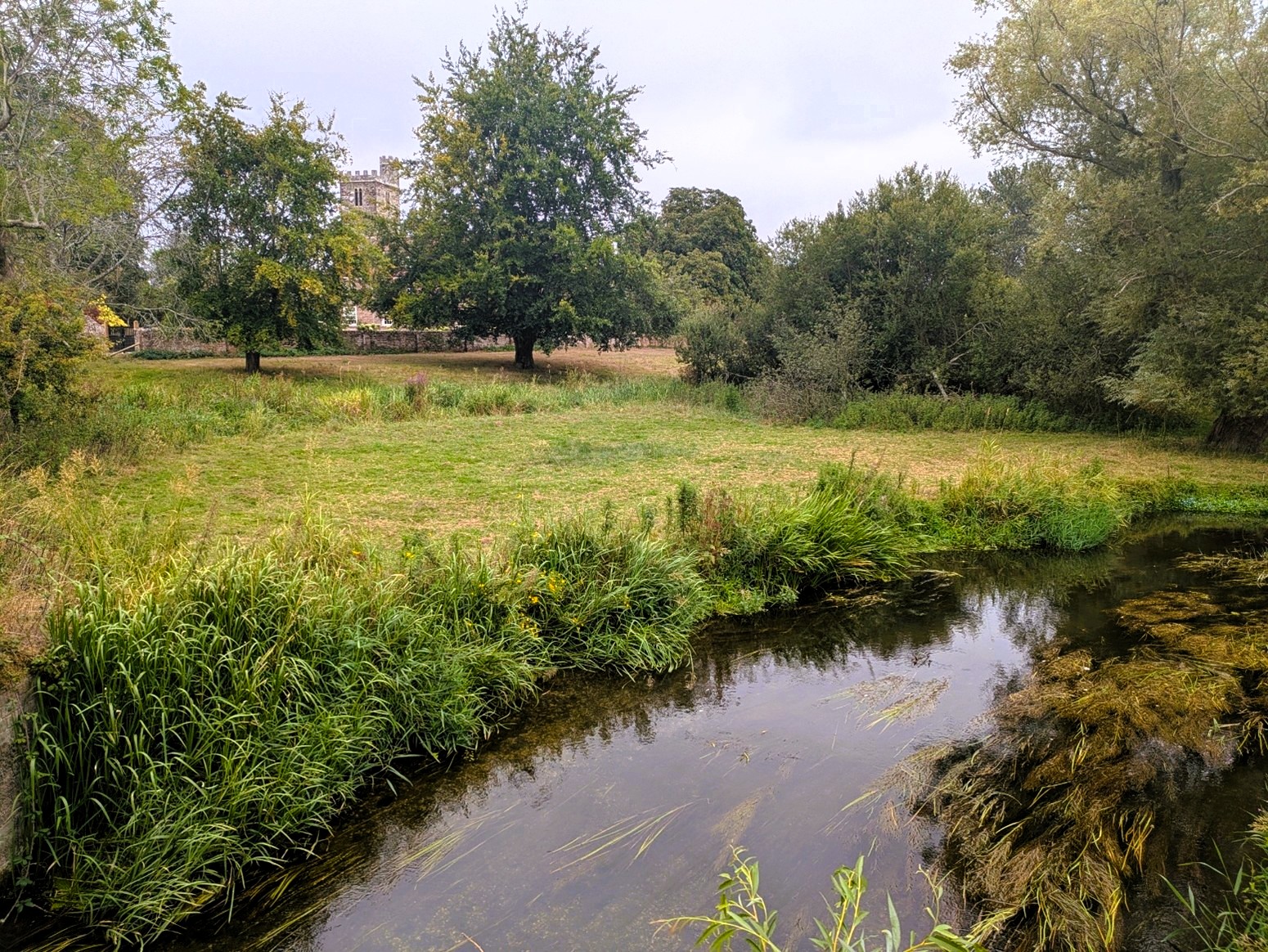 A river next to a field and trees