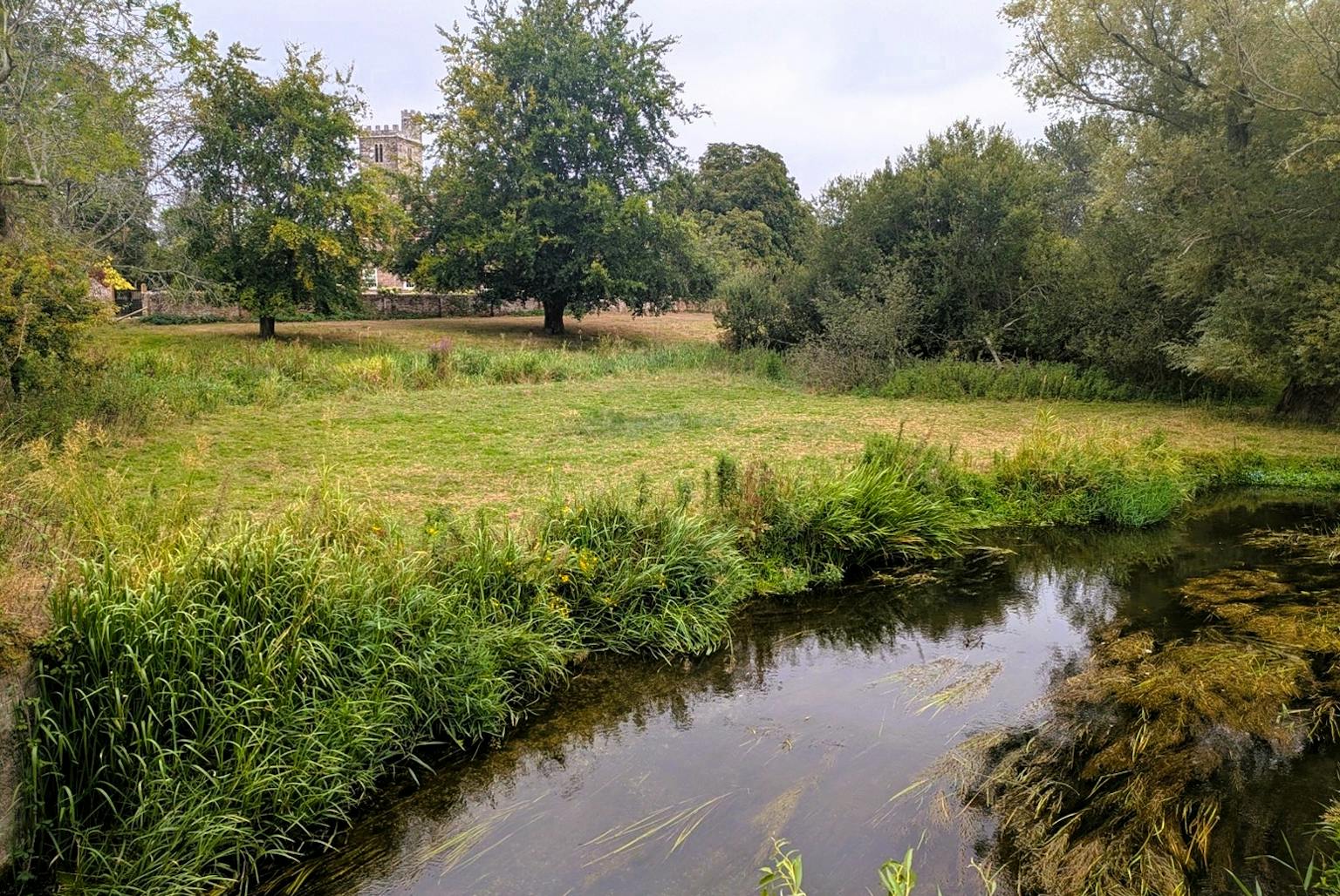 A river next to a field and trees