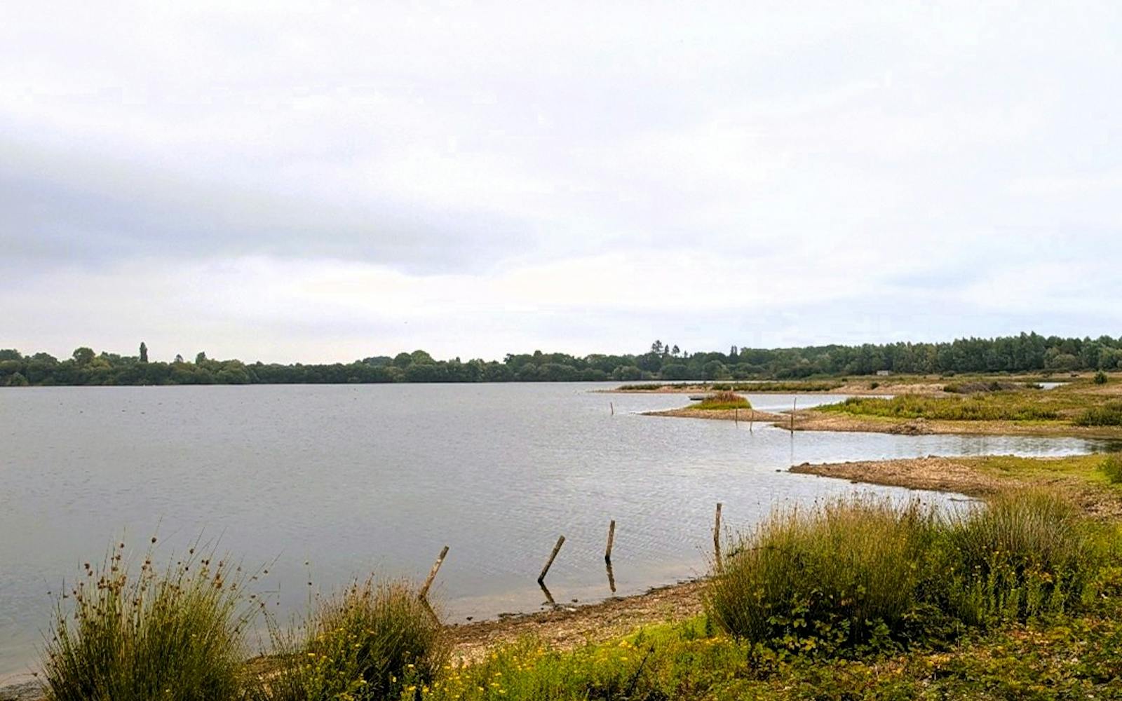 A body of water and its shore