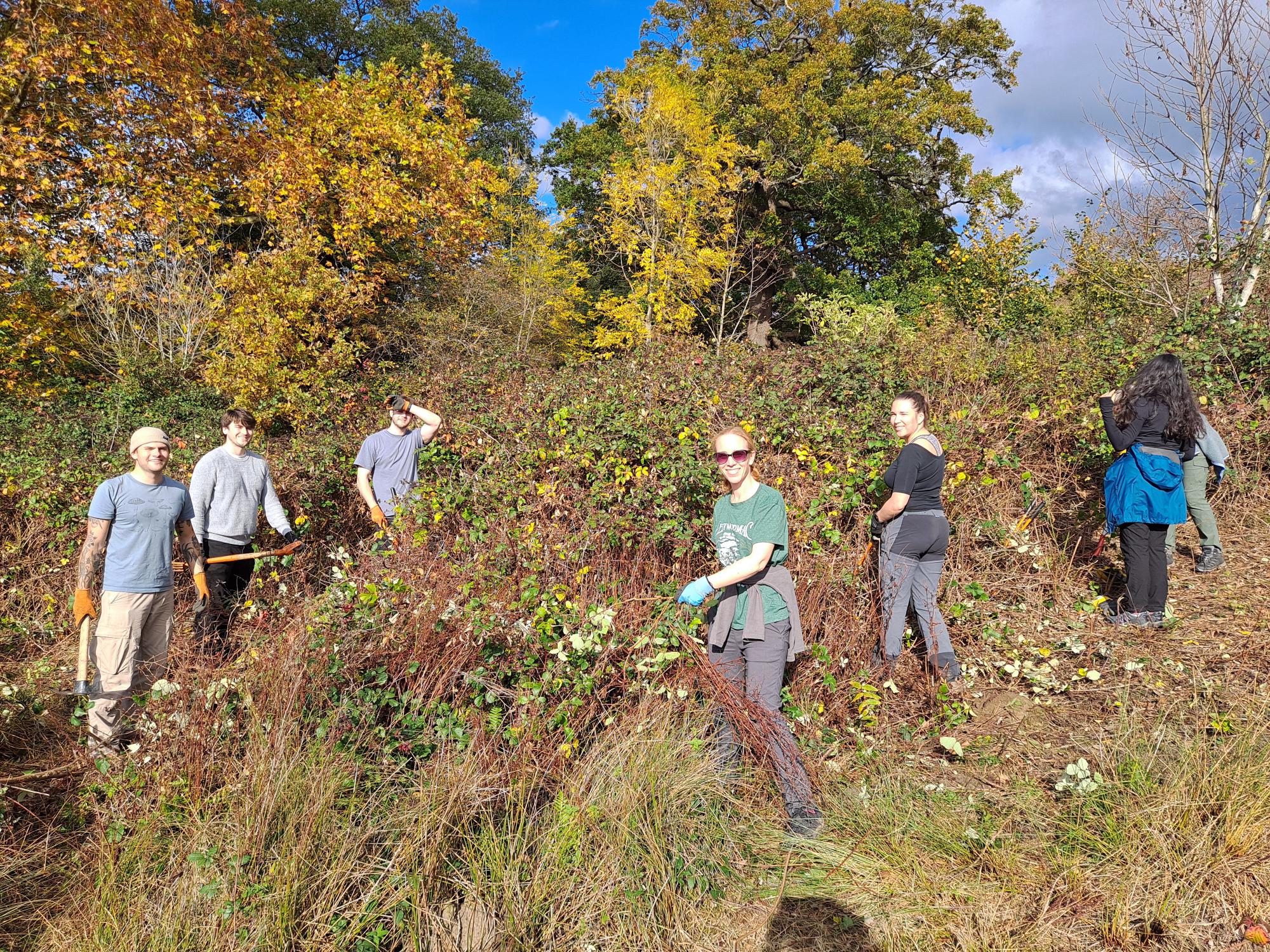 A group of LUC volunteers stand among autumn foliage in Richmond Park, clearing brambles and invasive plants from an area of acid grassland under bright sunshine.