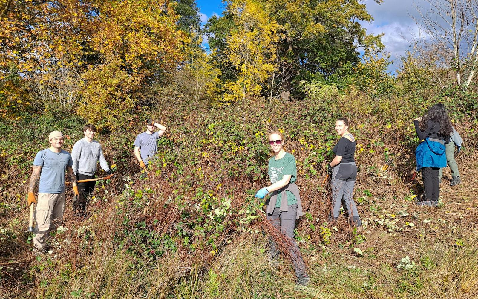 A group of LUC volunteers stand among autumn foliage in Richmond Park, clearing brambles and invasive plants from an area of acid grassland under bright sunshine.