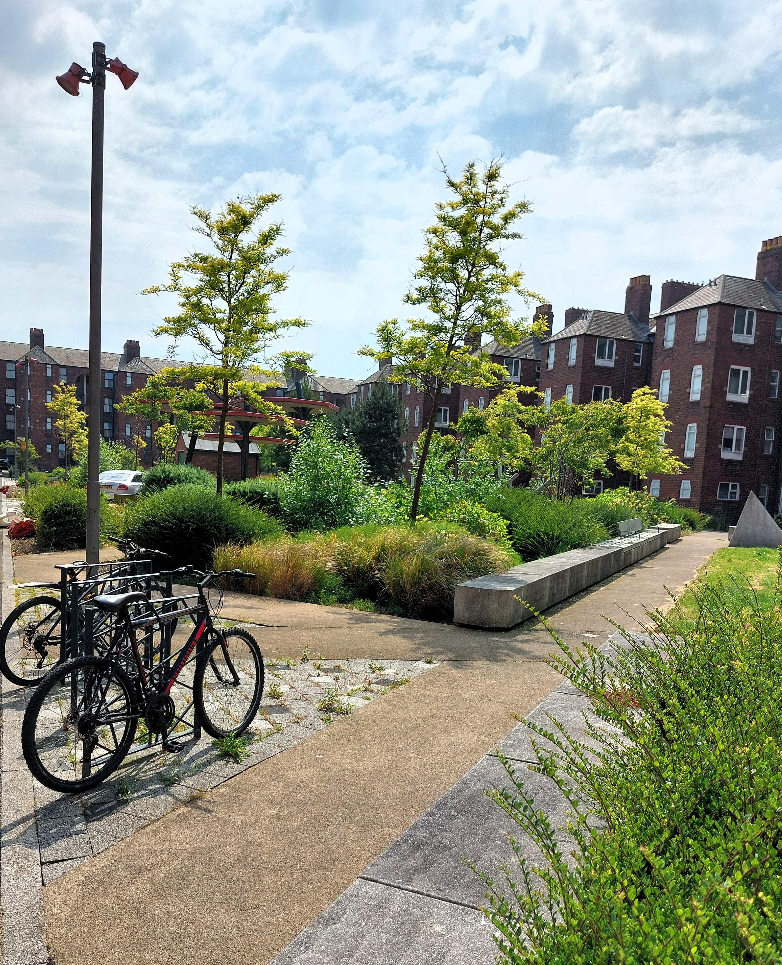 Some bicycles parked on a planted street with modern housing in the background