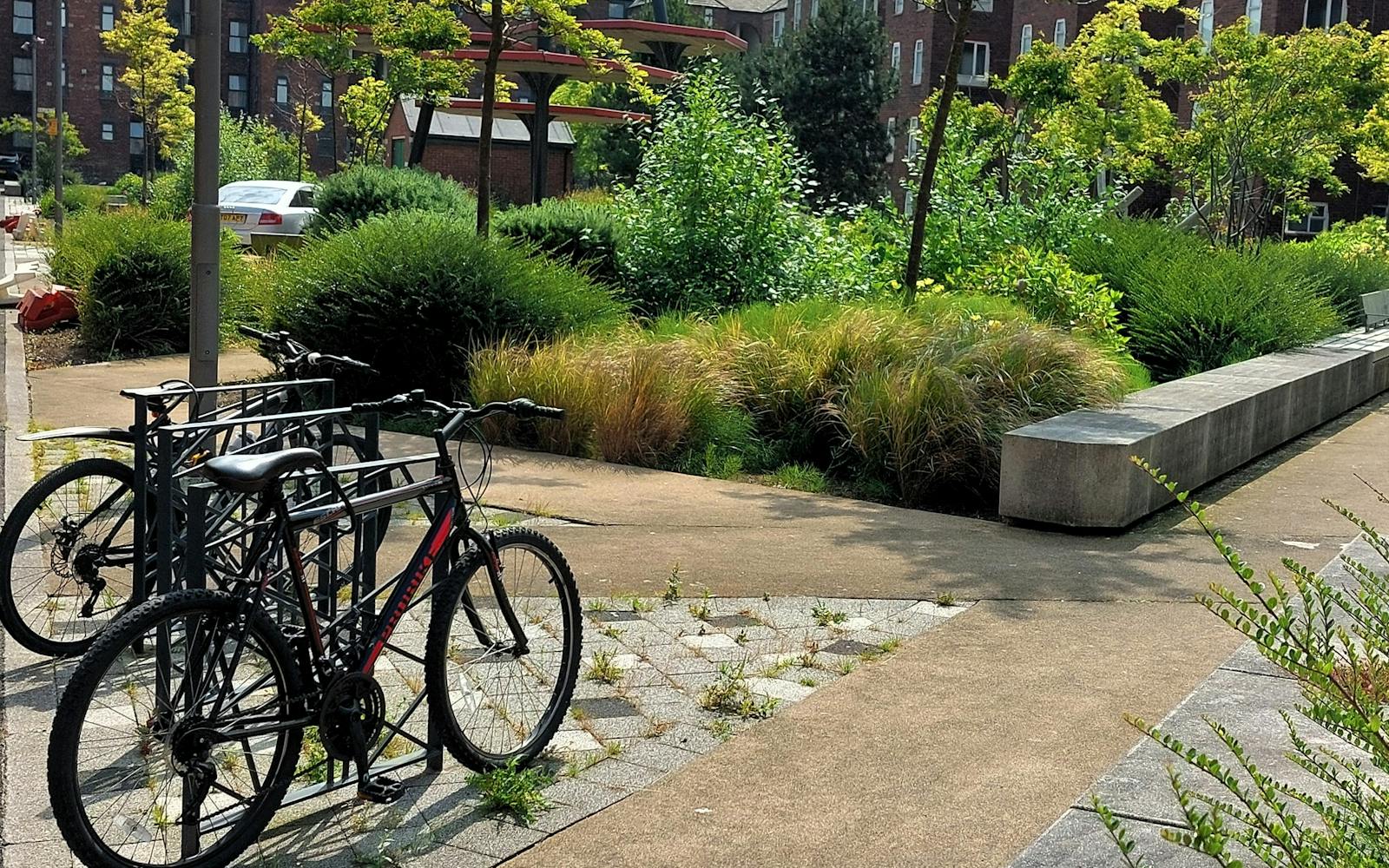 Some bicycles parked on a planted street with modern housing in the background