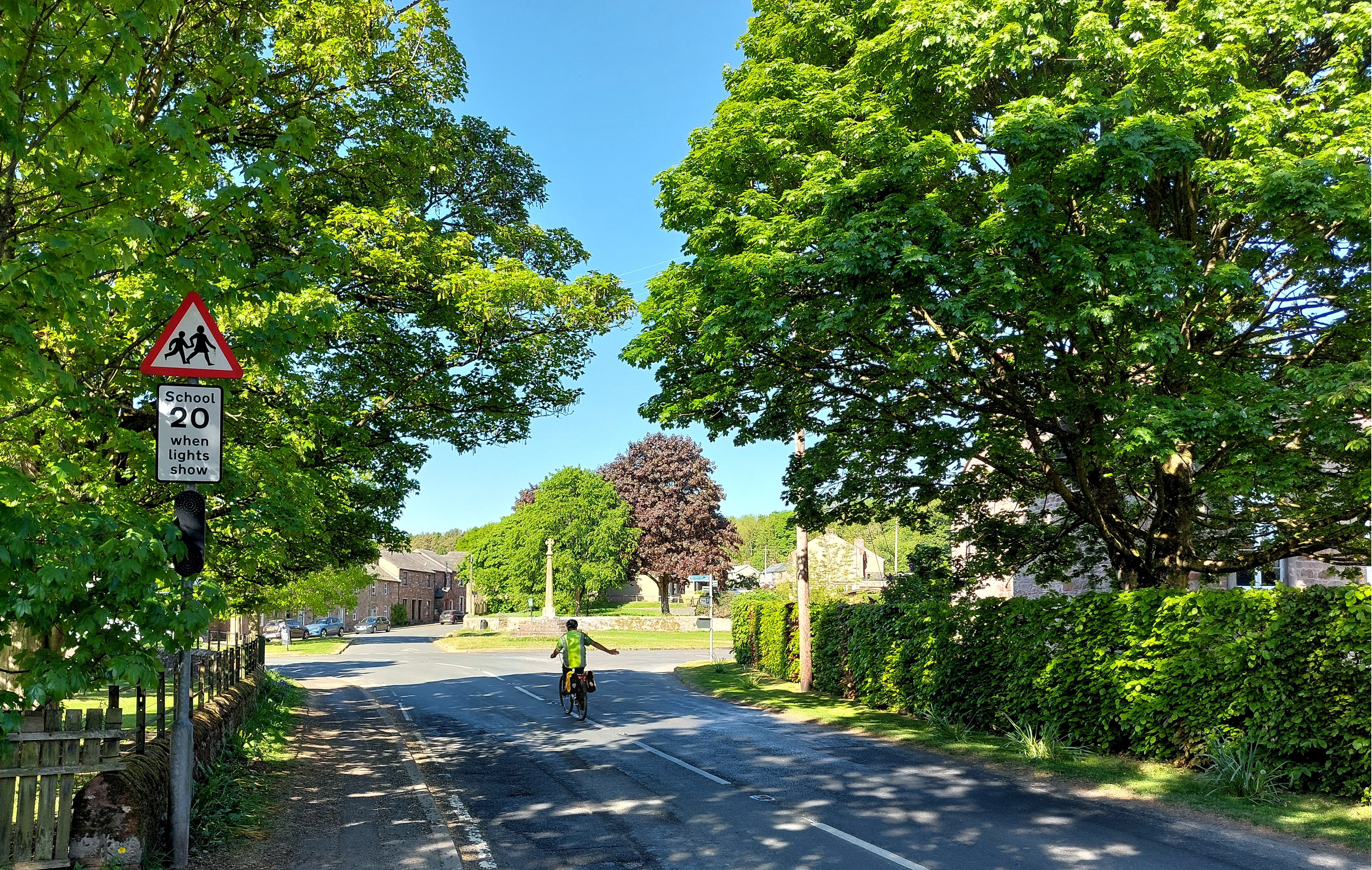 A cyclist on a country road surrounded by trees in full leaf