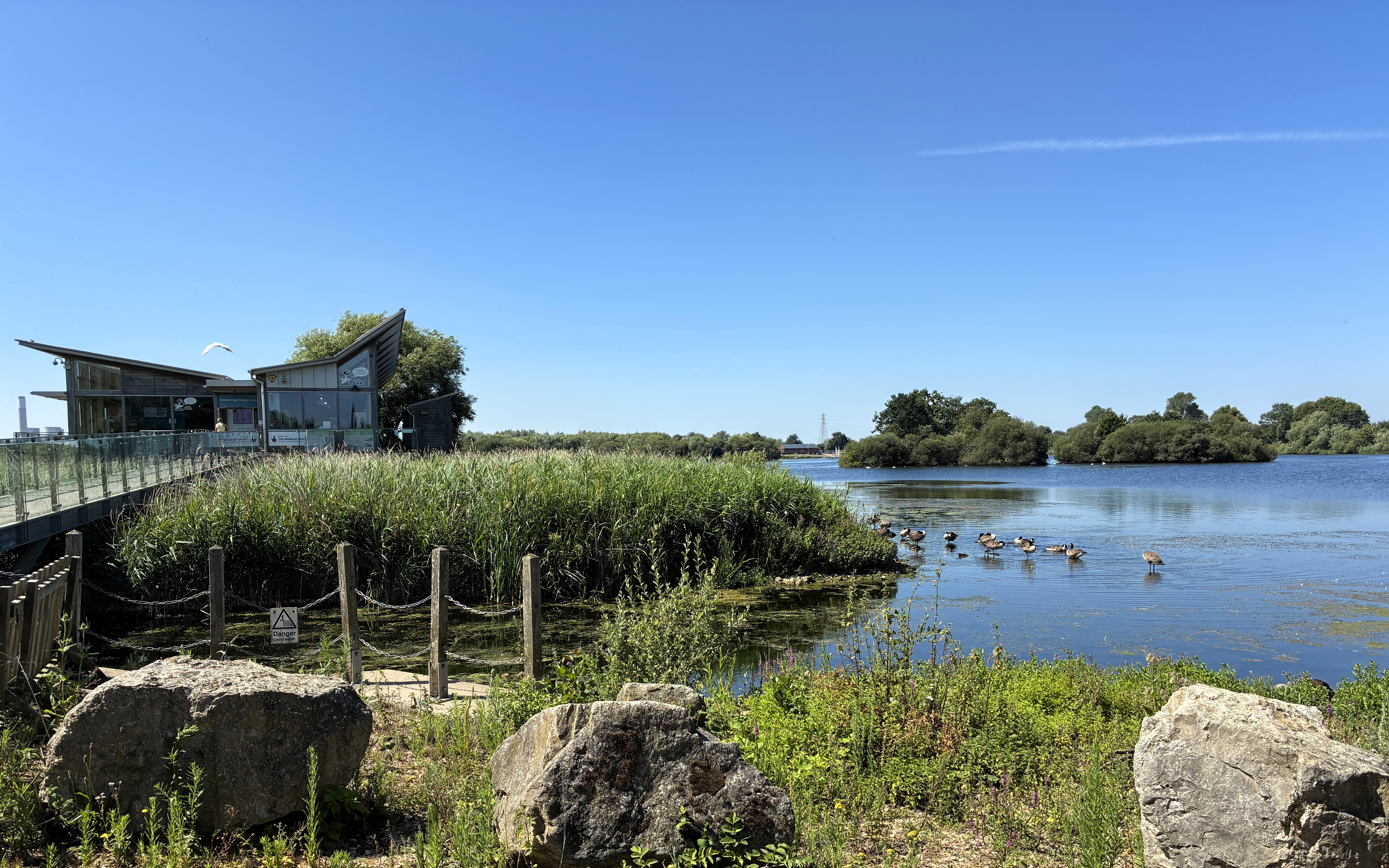 A body of water surrounded by trees and greenery