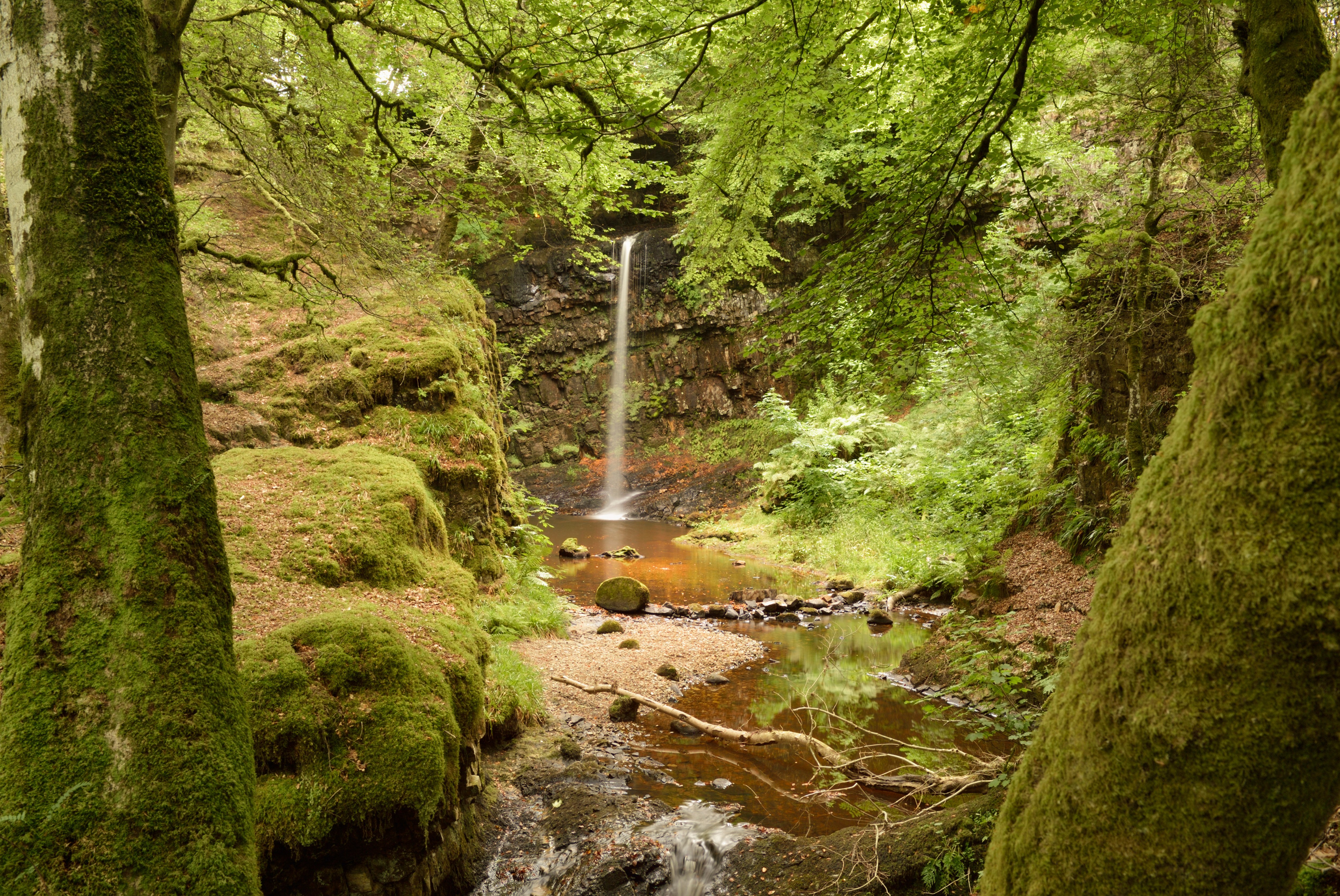 A waterfall surrounded by woods