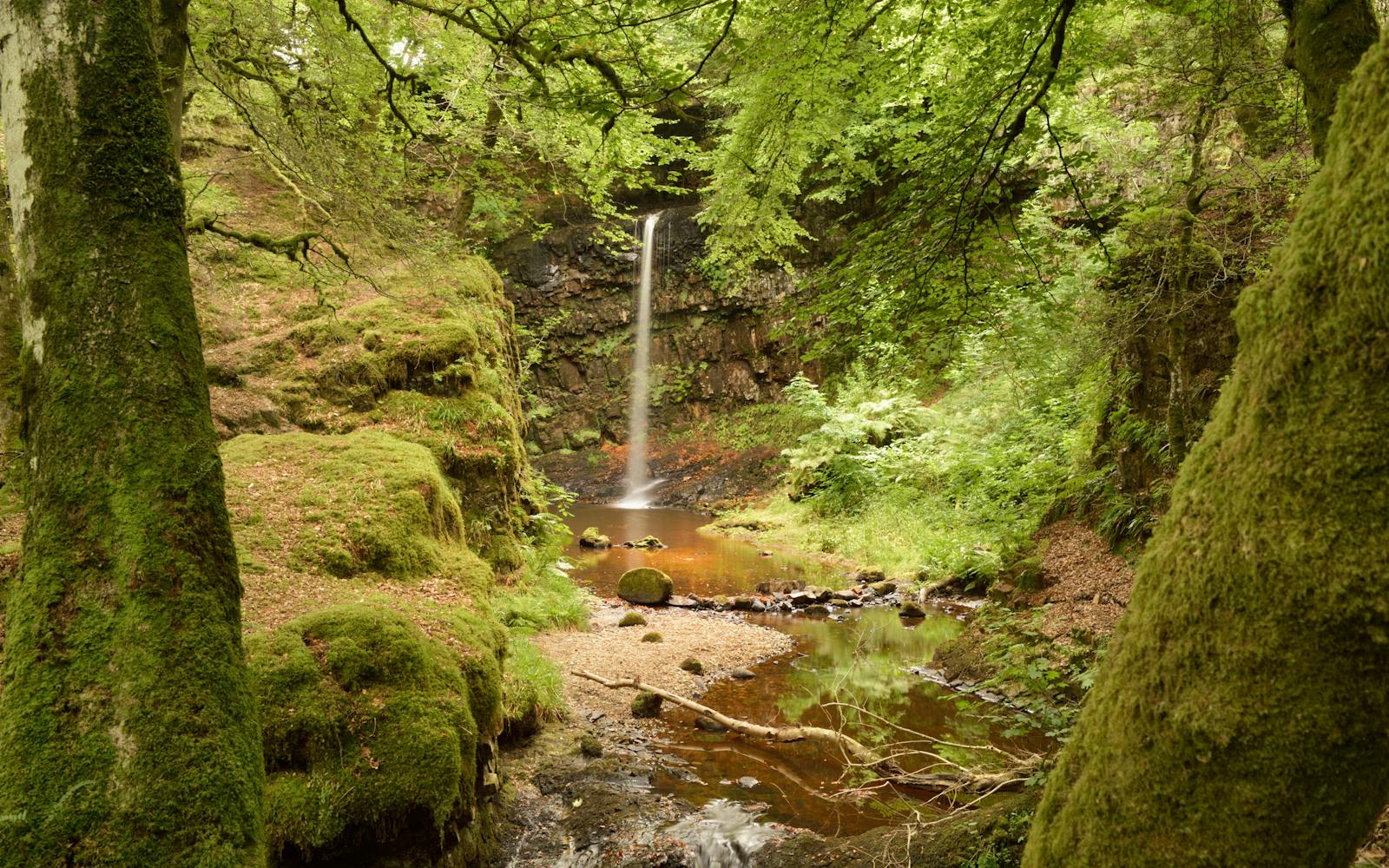 A waterfall surrounded by woods