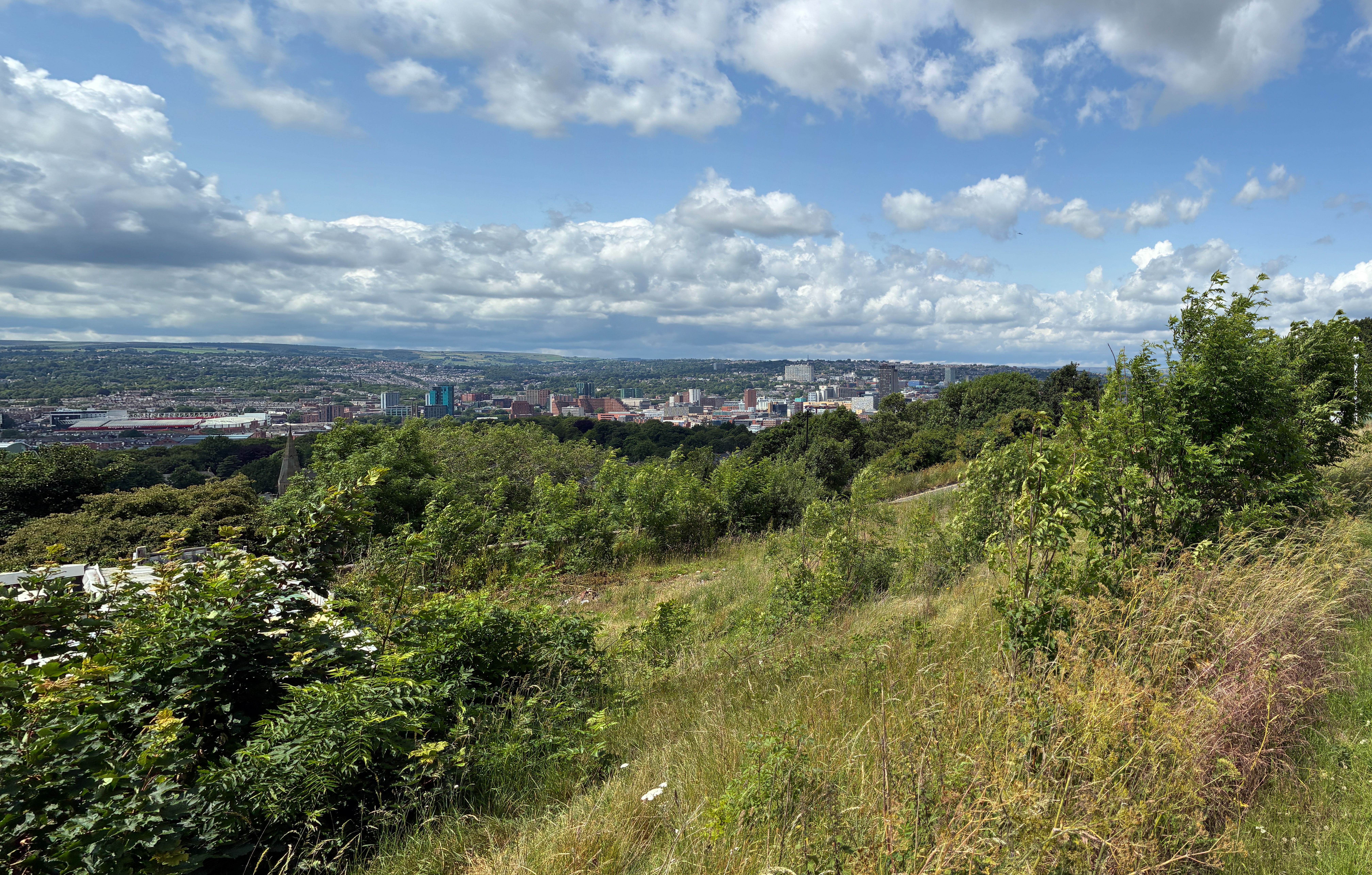 Sheffield view