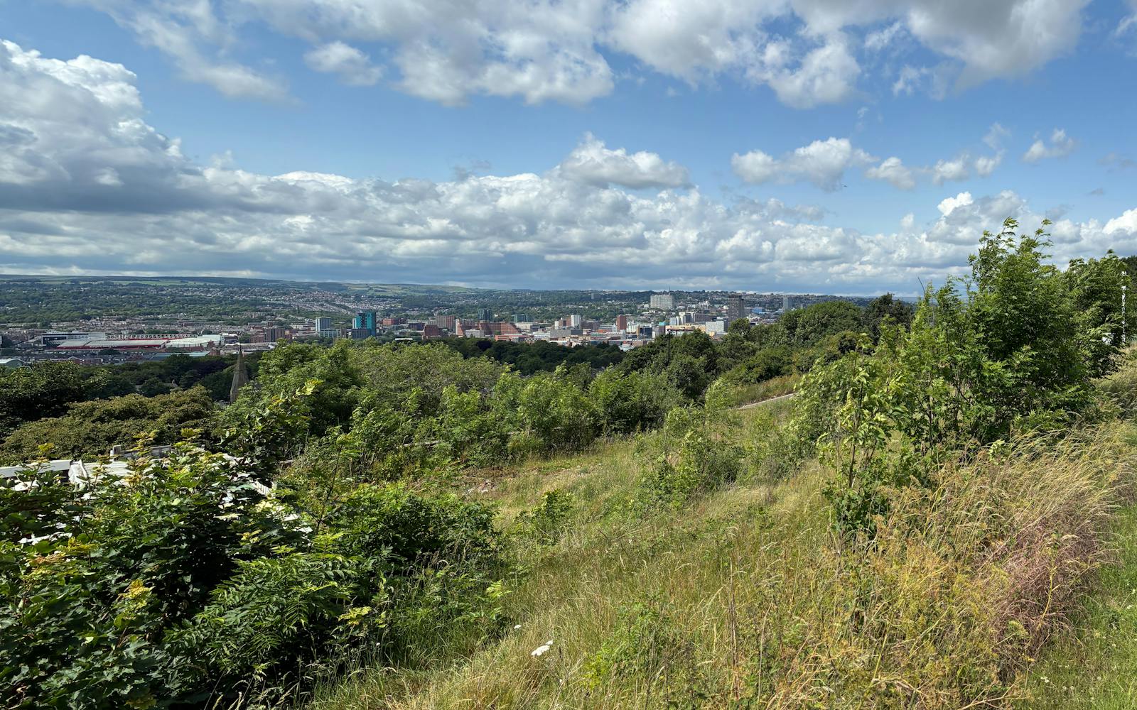 Sheffield view
