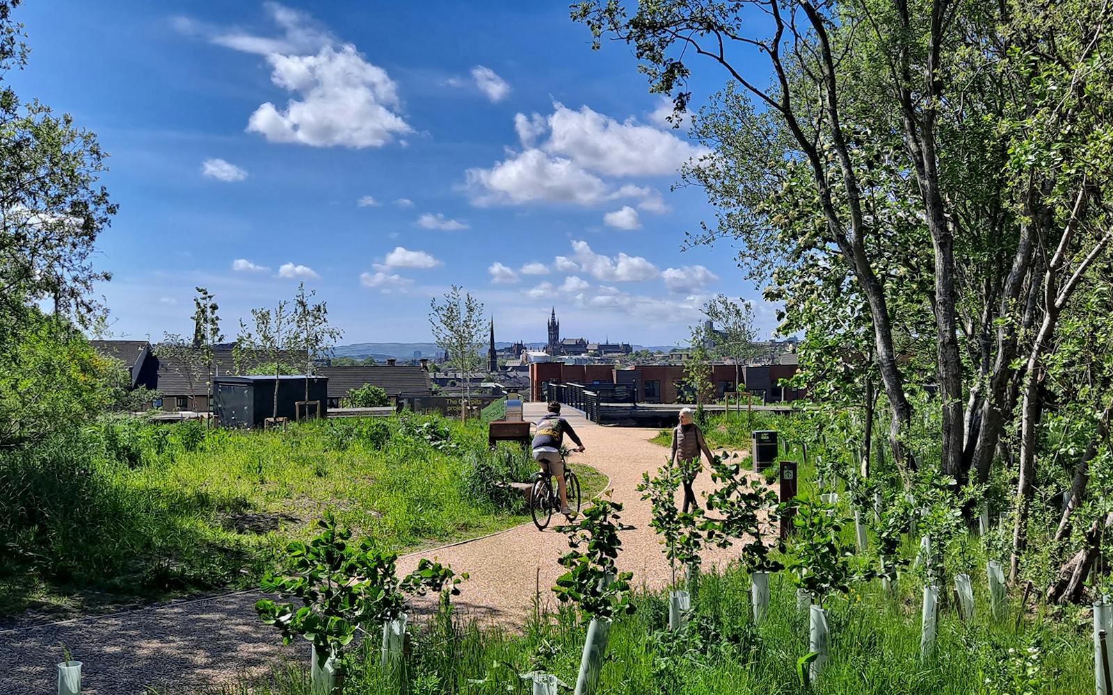 A cyclist in a park surrounded by trees and plants