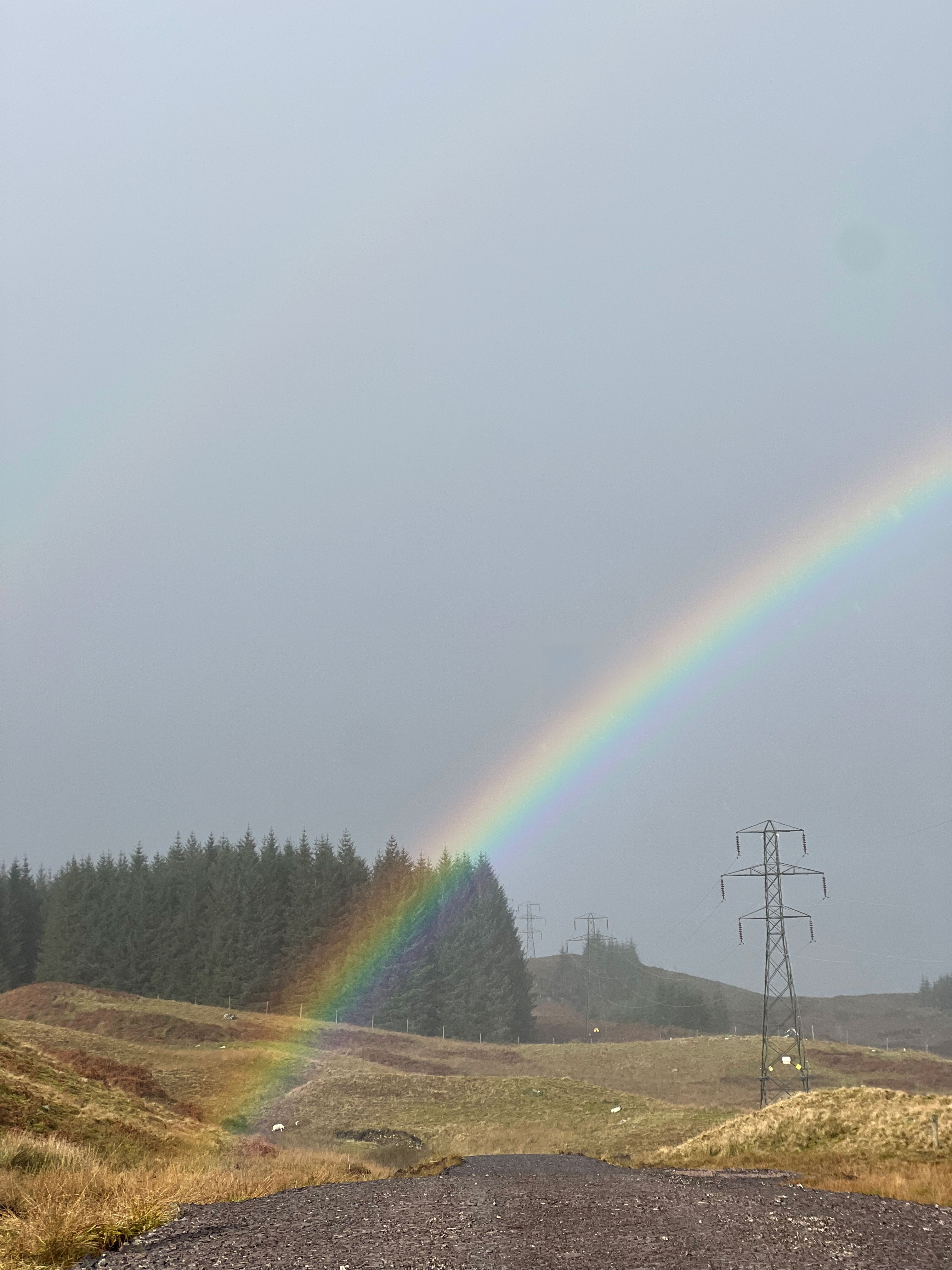 A rainbow over an access track on Scottish hillside under a grey sky.