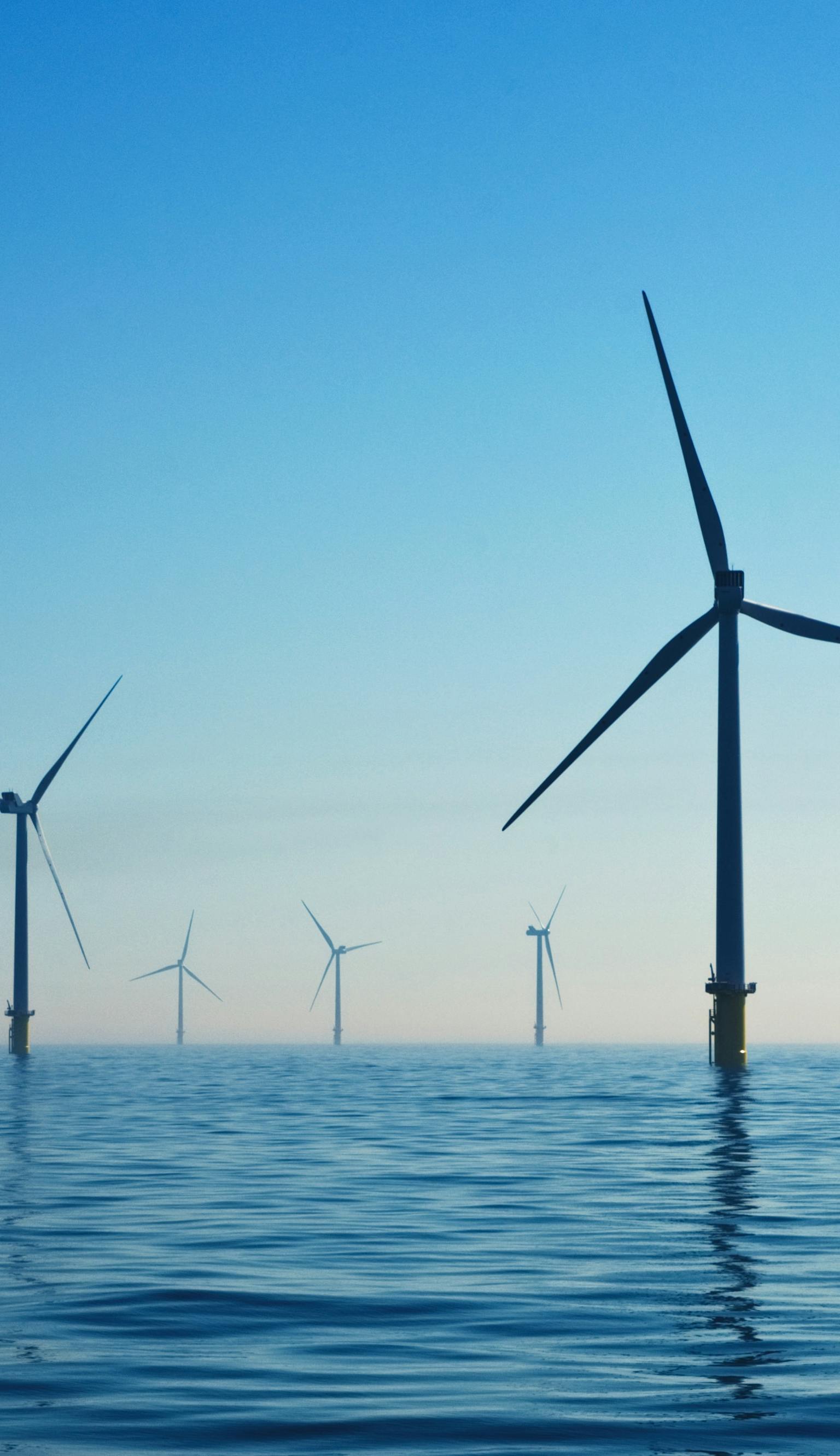 Offshore wind farm