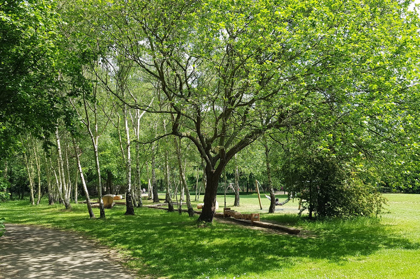 A play park with green trees