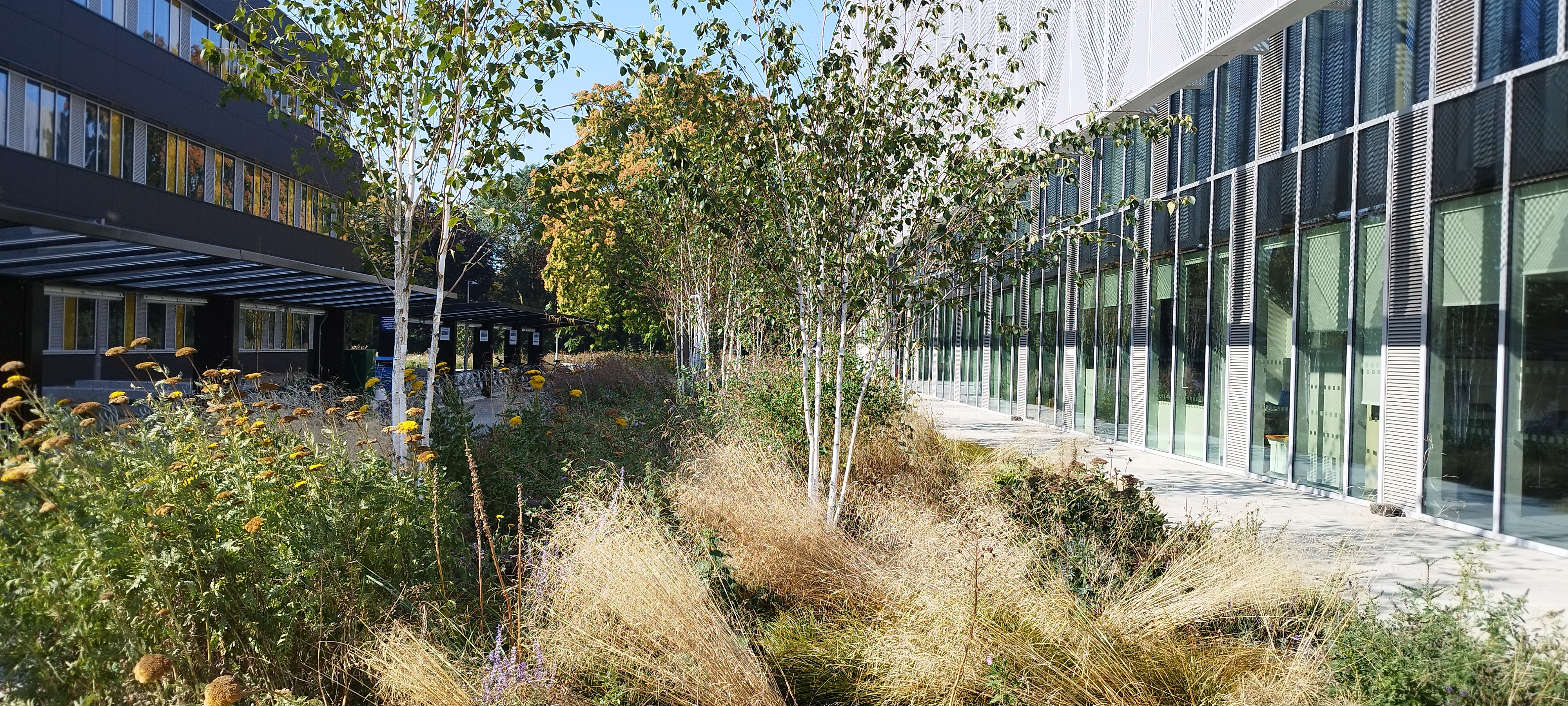 Anglia Ruskin University (ARU) in Peterborough