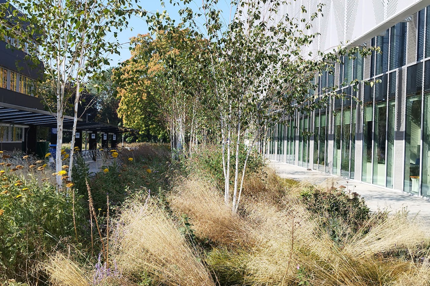 Anglia Ruskin University (ARU) in Peterborough