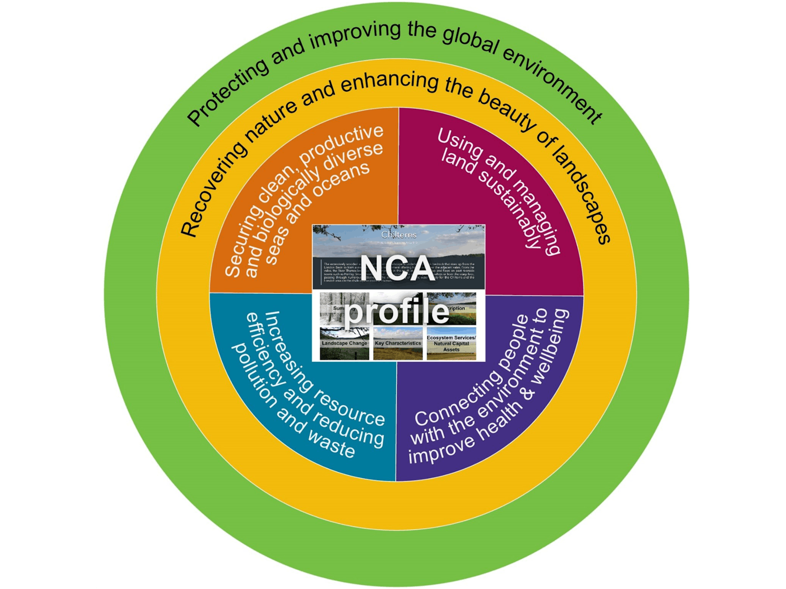 Circlar infographic