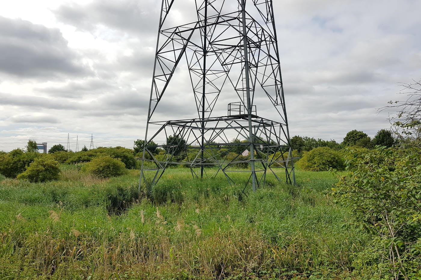 Pylon in rural landscape