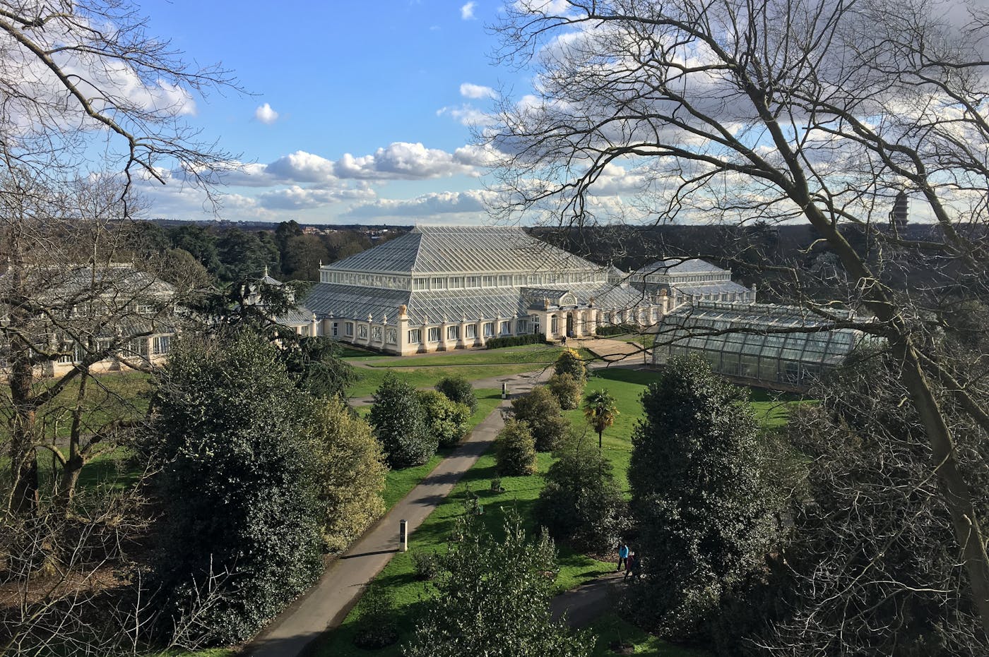 Kew Gardens view from above