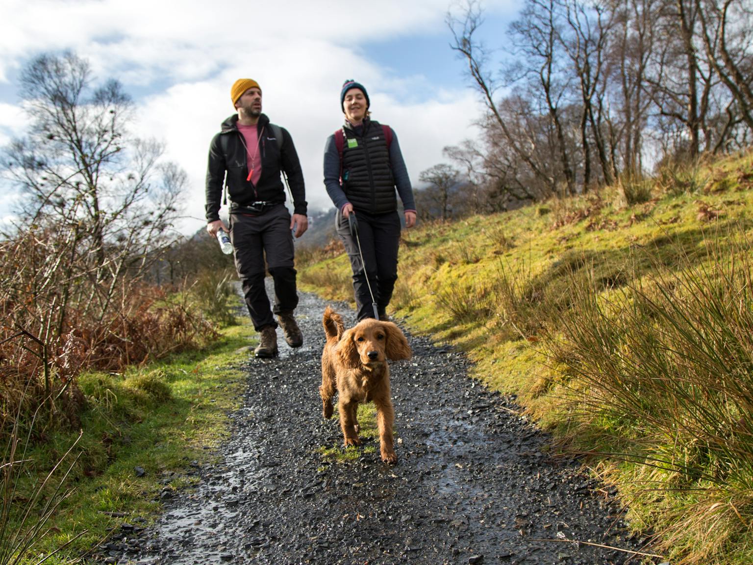 Two people walking a dog