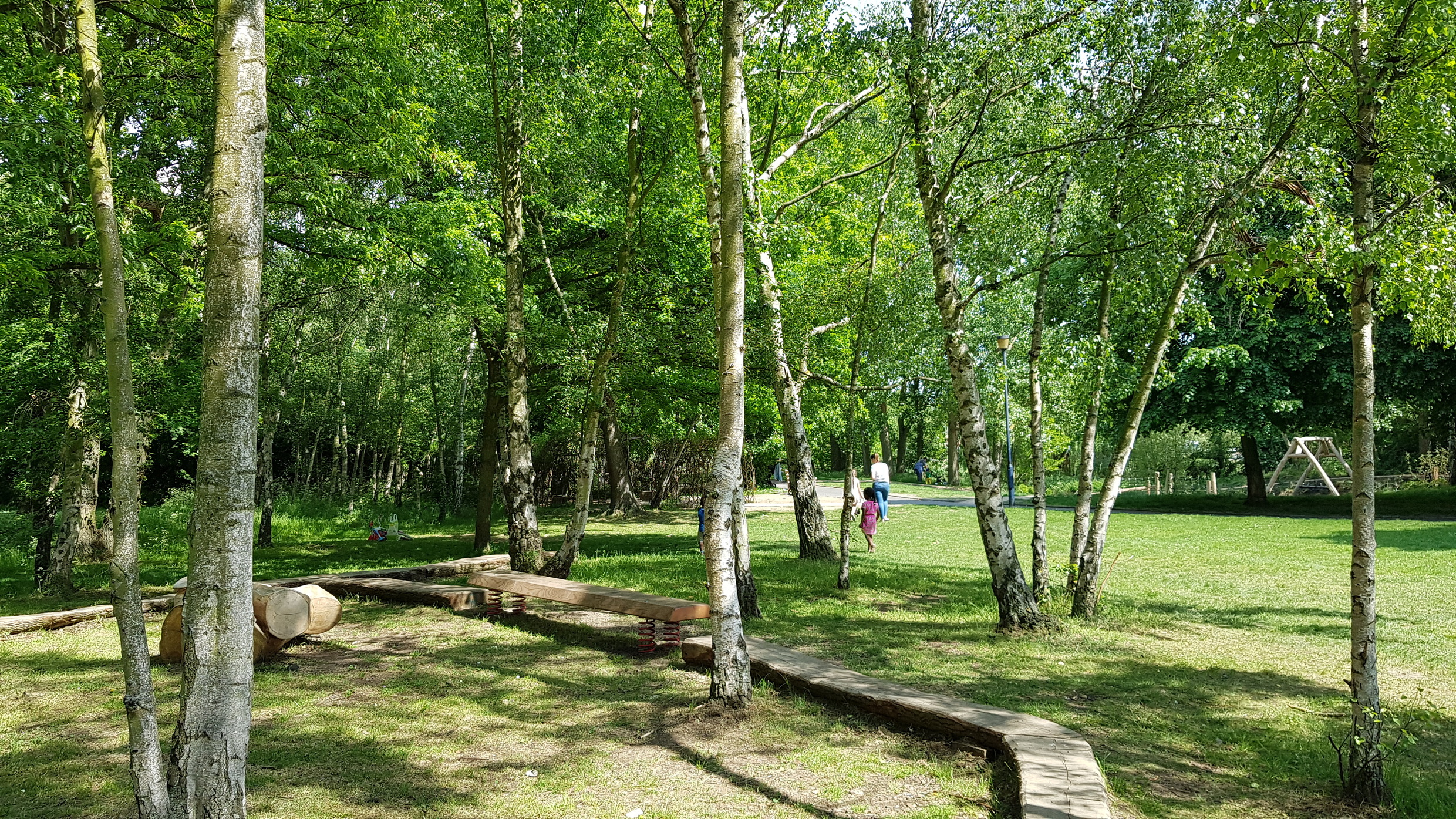 Grassy area with trees