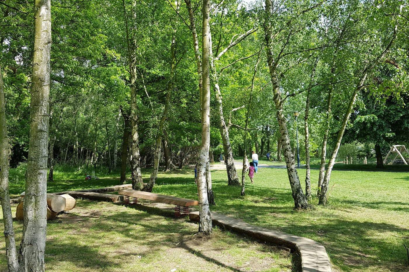 Grassy area with trees