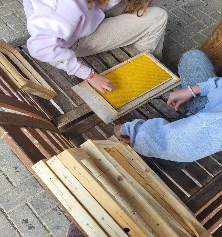 (hier werden die Wachsplatten mit den Rähmchen verbunden, damit die Bienen später einen Anhalt haben, wie sie bauen müssen)