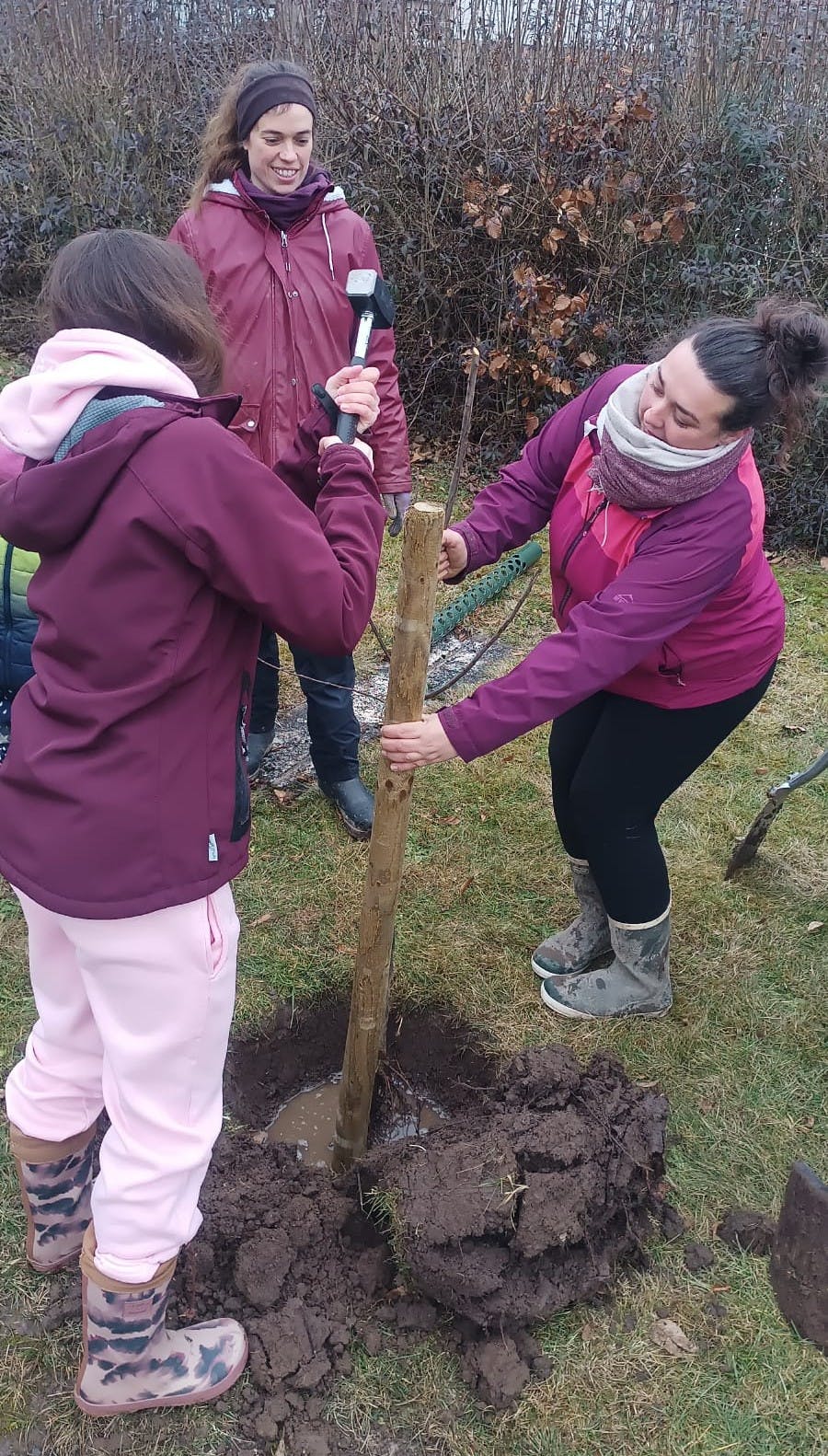 Kinder pflanzen und pflegen Obstbäume im Nachhaltigkeitsprojekt der Lugredu Stiftung
