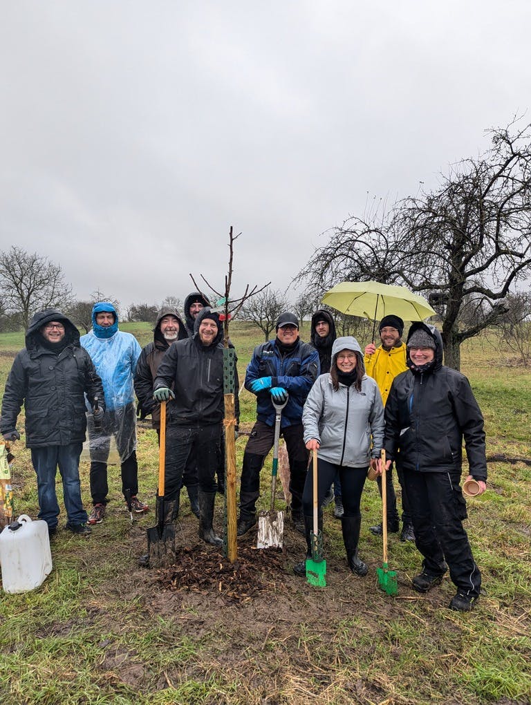 Baum pflanzen als nachhaltiges Geschenk in Deutschland