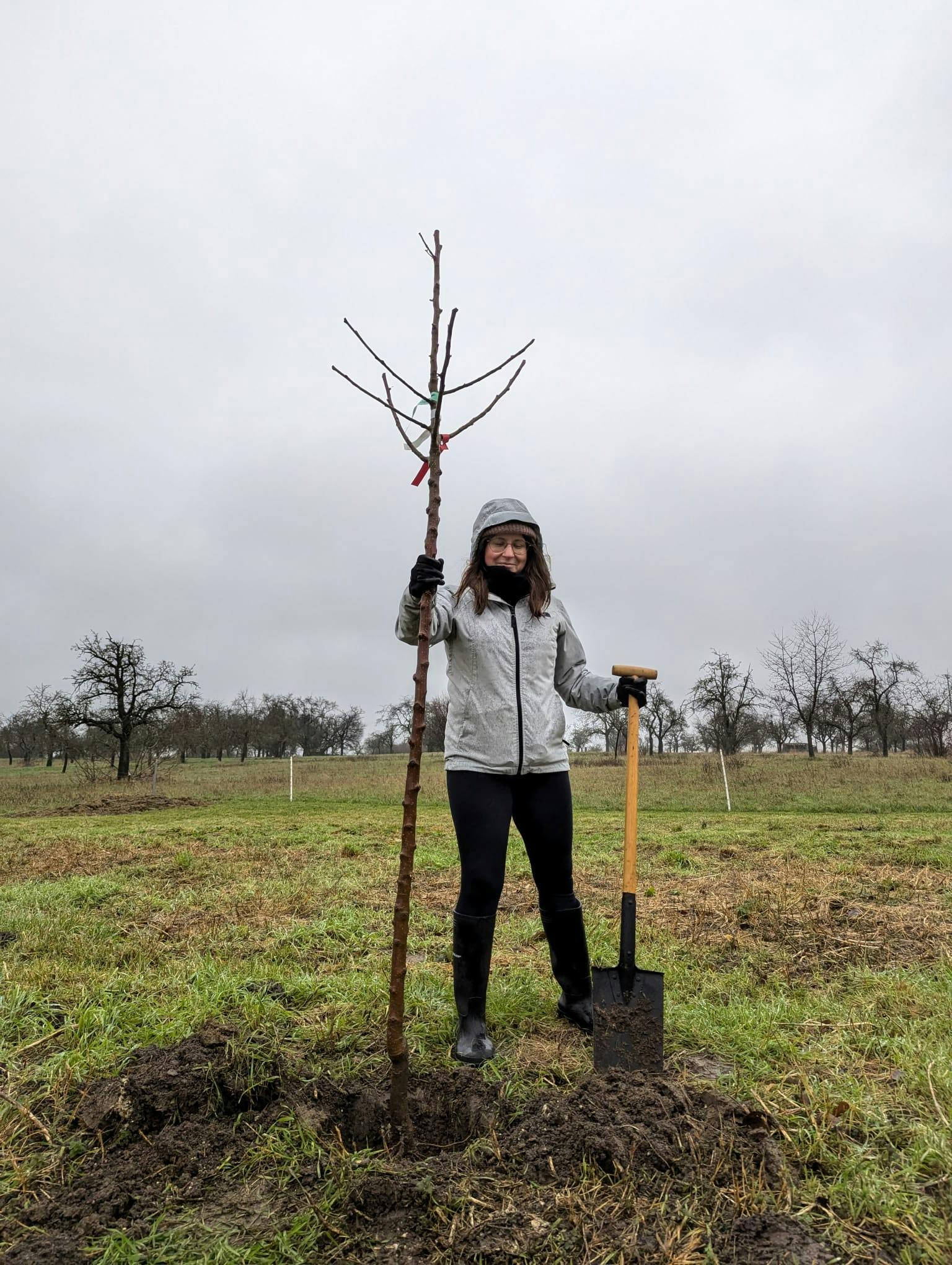 Mädchen pflanzt einen Baum die sie gespendet hat