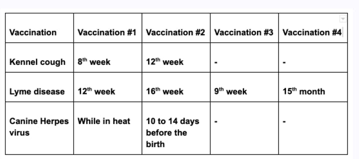 what vaccinations should a kanni puppy receive after birth