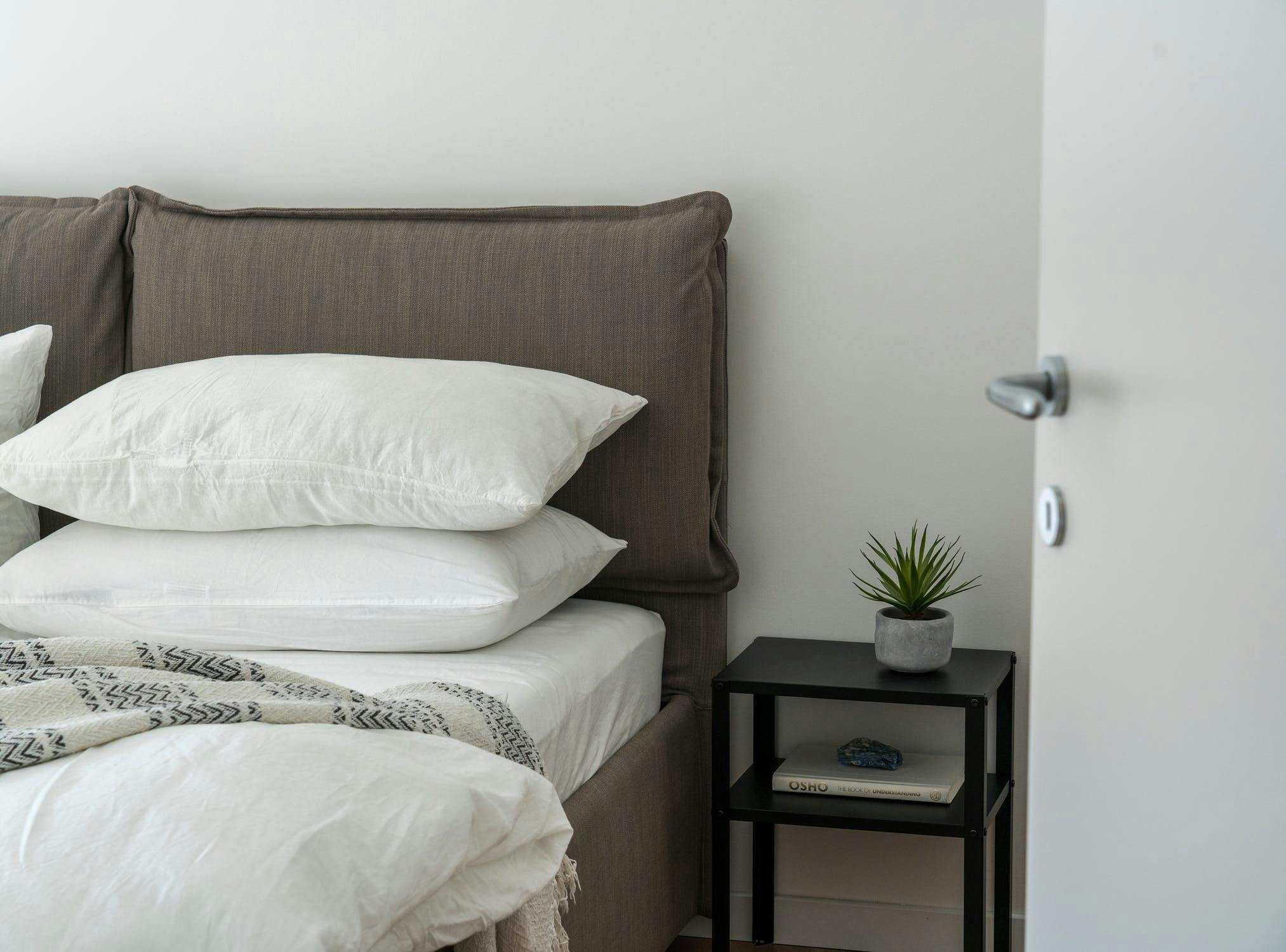 Punaises de lit : onze conseils pour se protéger (et pour vous en  débarrasser)