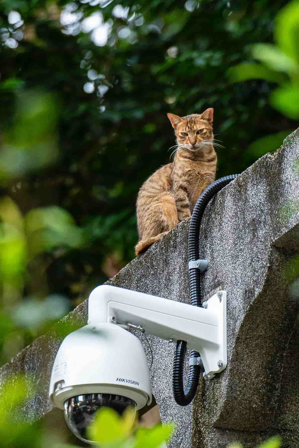 Caméra de surveillance sales extérieure pour particulier