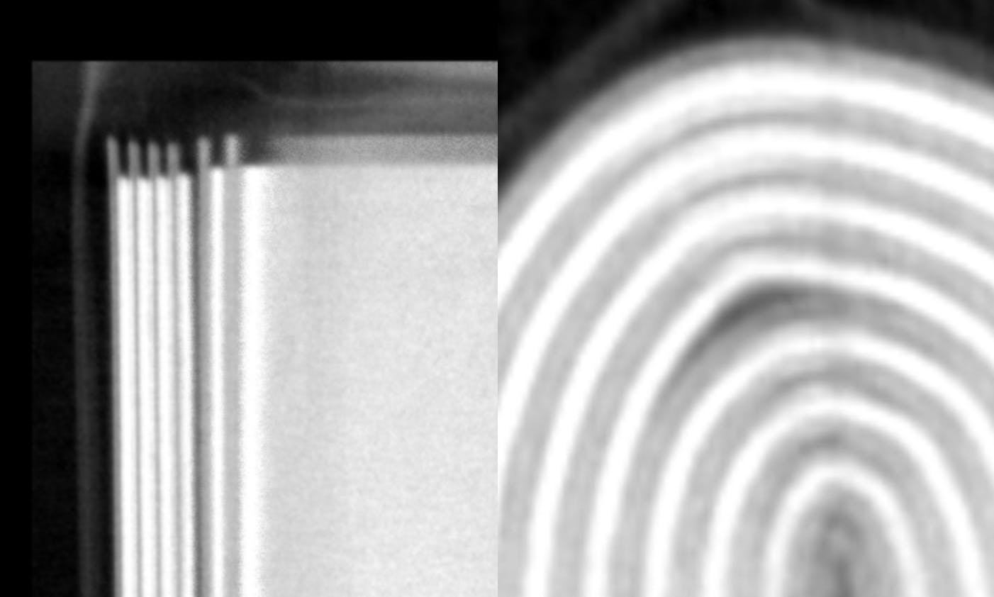 Lumafield radiograph view of lithium-ion battery pouch or prismatic cell with separation within electrode layer