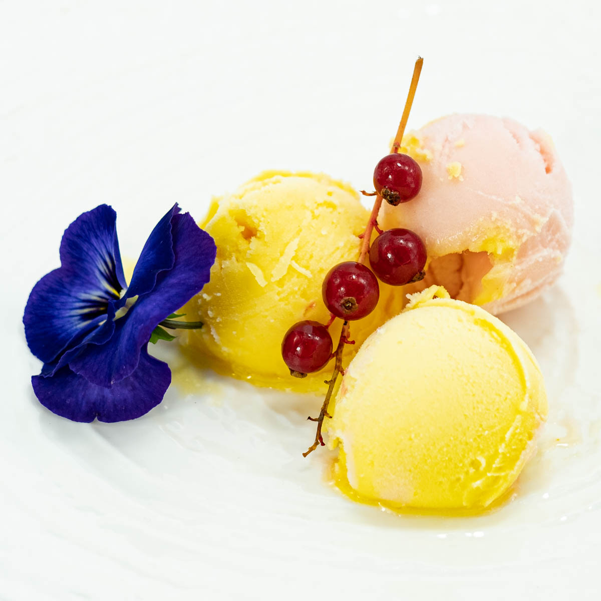 Degustazione Tris Sorbetti