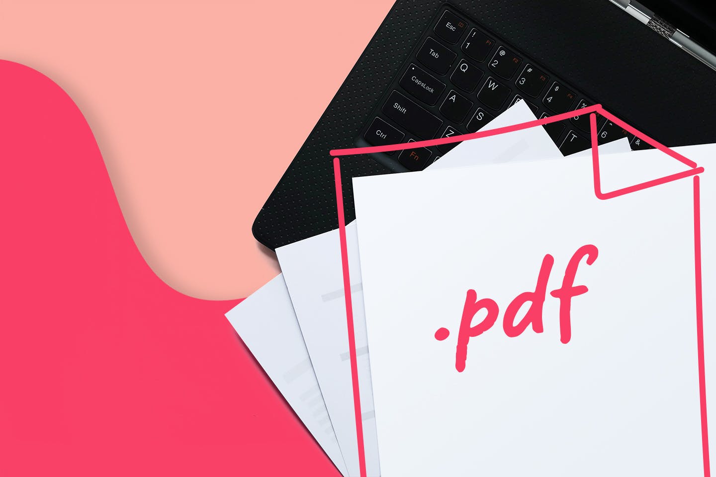 Everything you need to know about the PDF